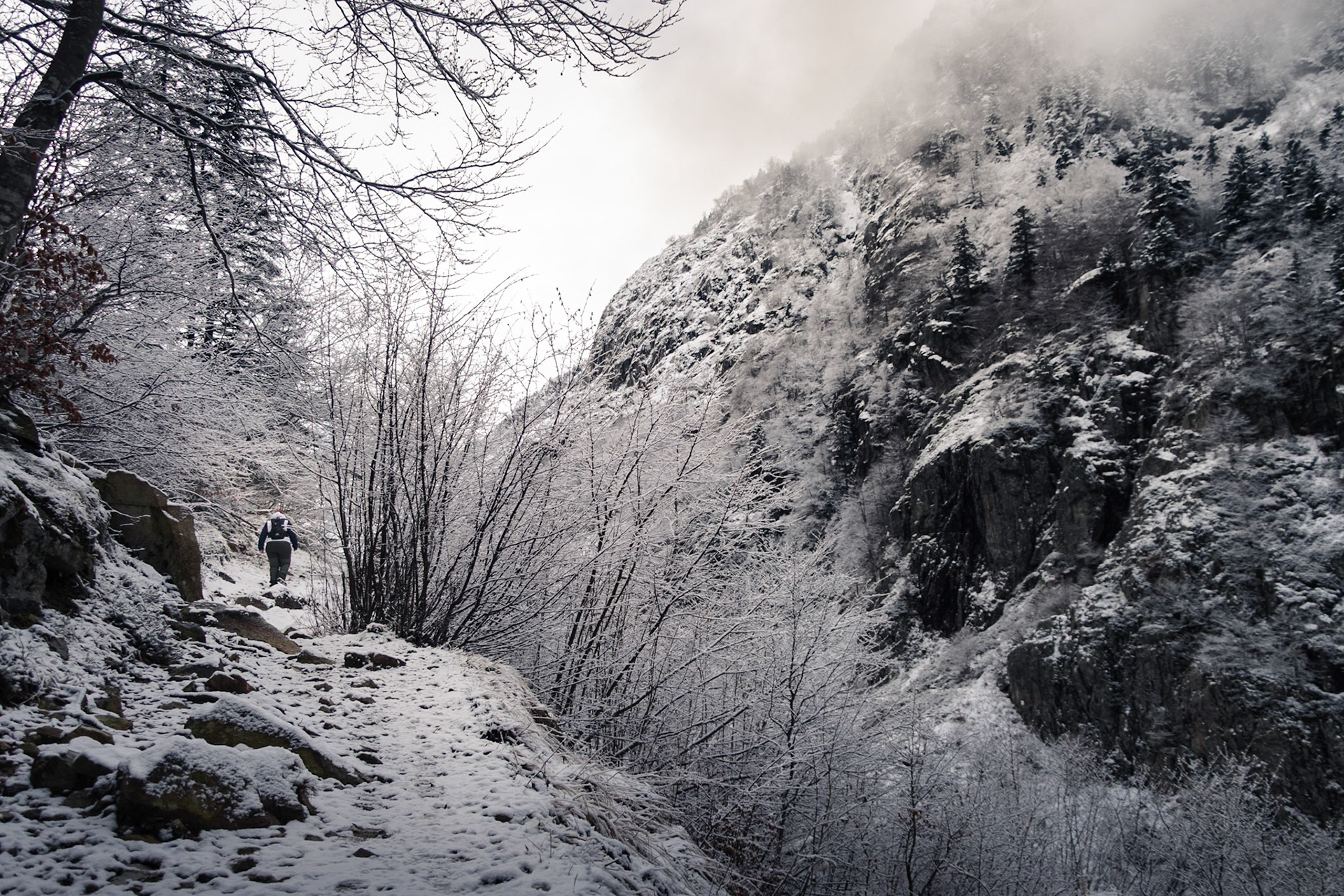 Randonnée en raquettes sur un sentier qui s'enfonce dans la montagne, dans une ambiance toute particulière.