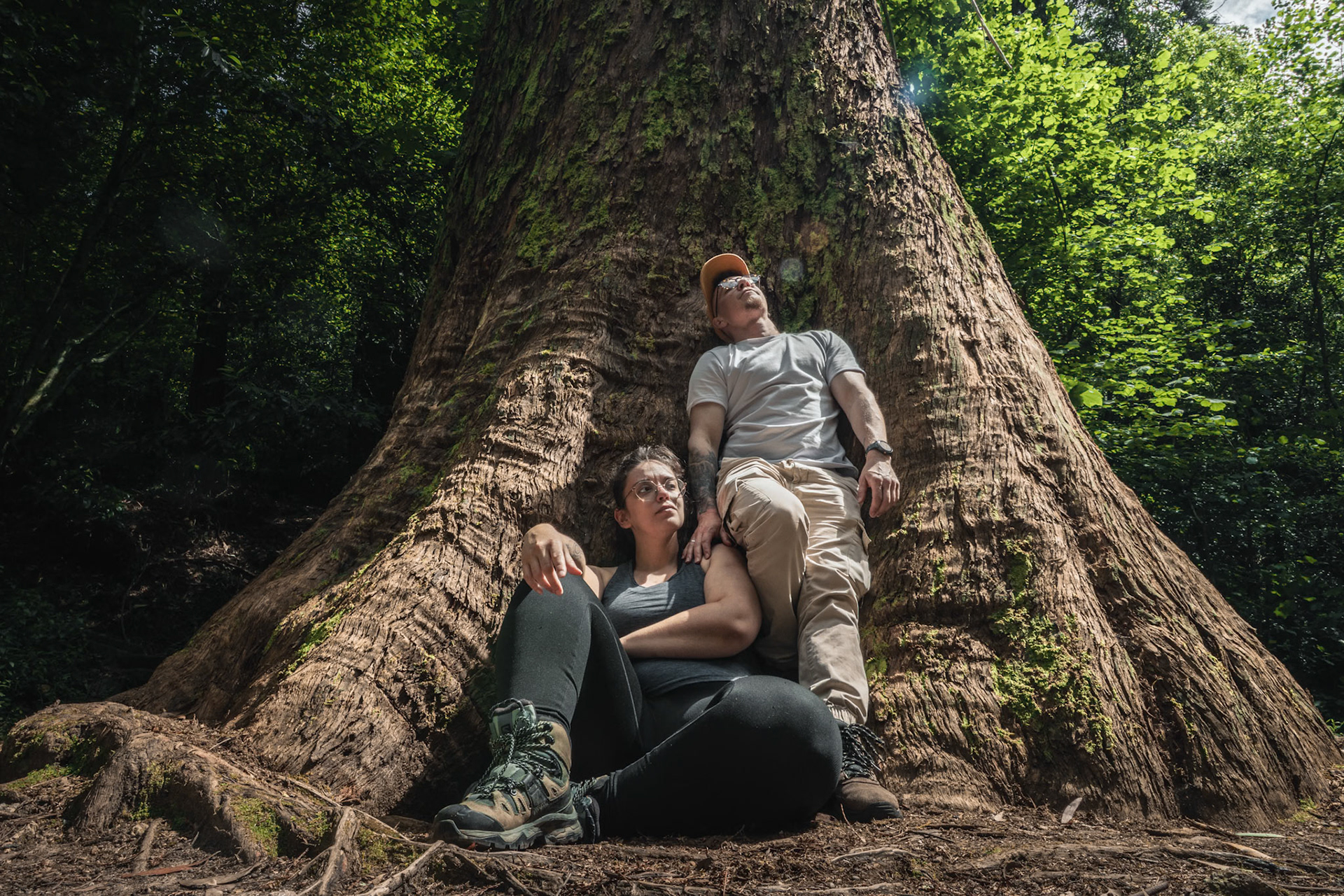 Au pied du plus vieil arbre de la forêt de Bussaco, un eucalyptus de près de 200 ans et 80 mètres de haut.