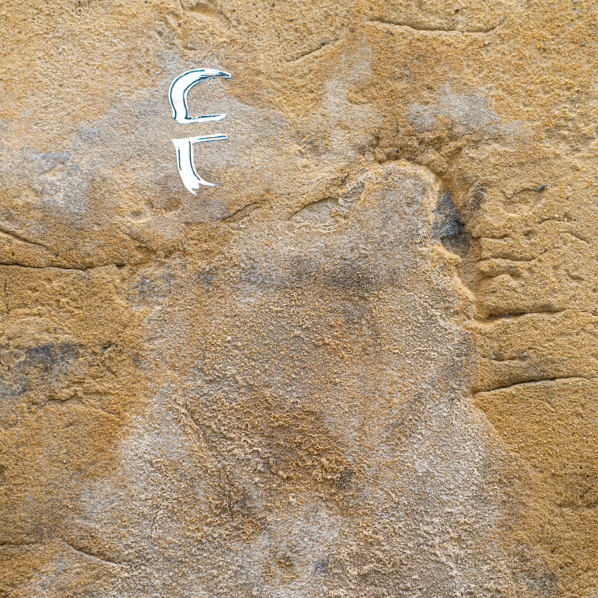 24 Mars 2014-14h32 Angouleme- TiTivisconti.