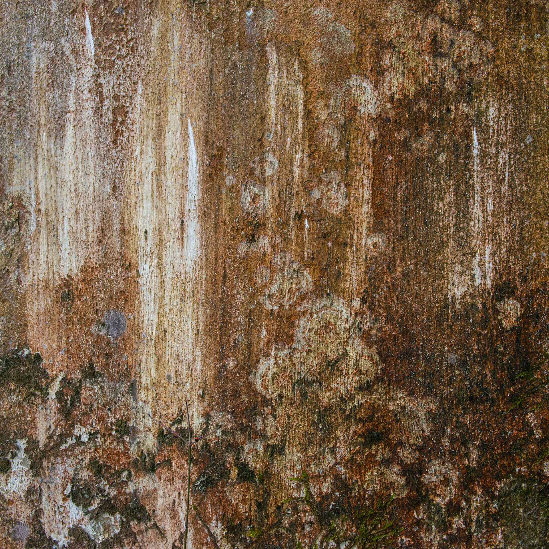 14mar2015-15h40-aigrefeuille d'aunis-hopital militaire-titivisconti