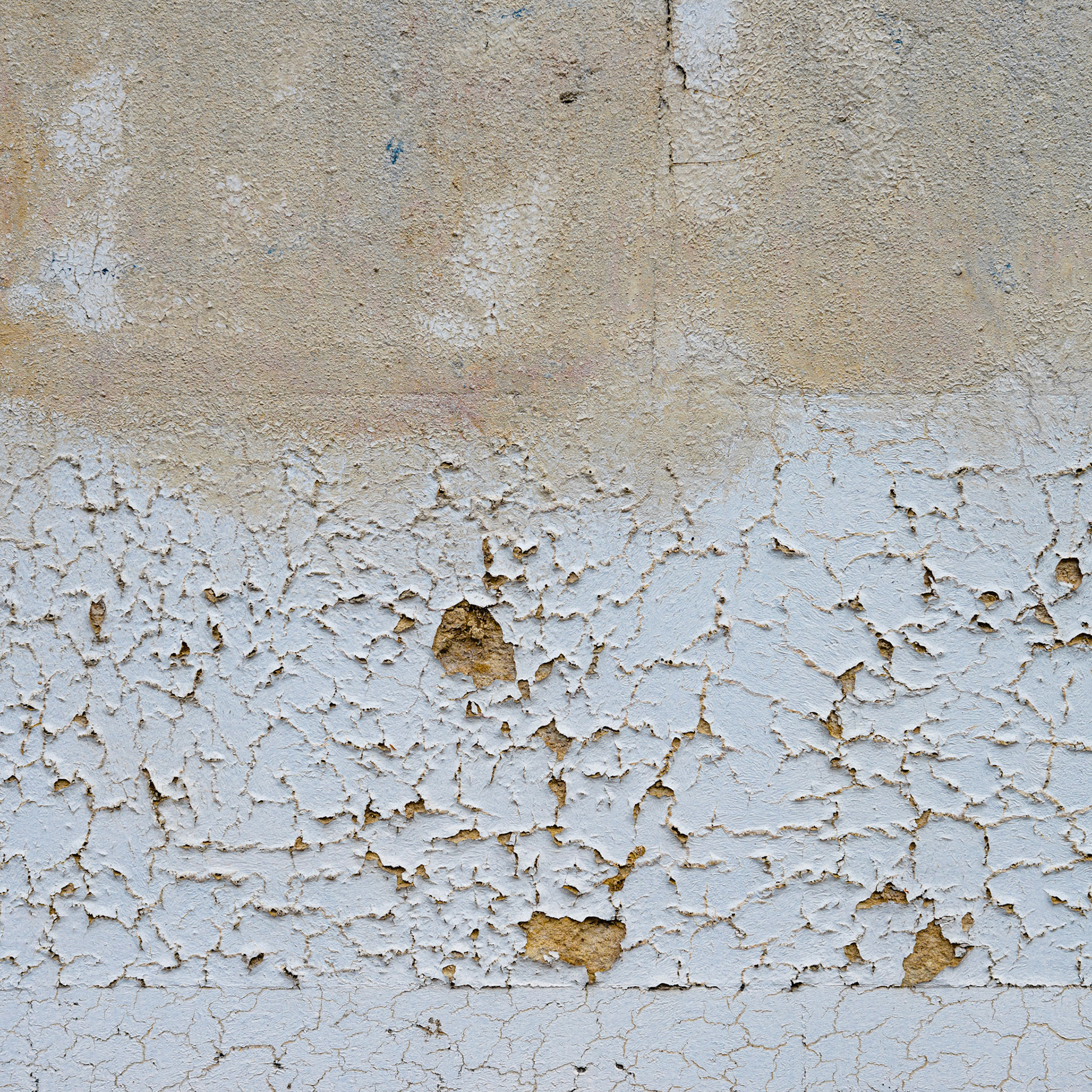 31mars2014-16H51-paris-courslareine-titivisconti