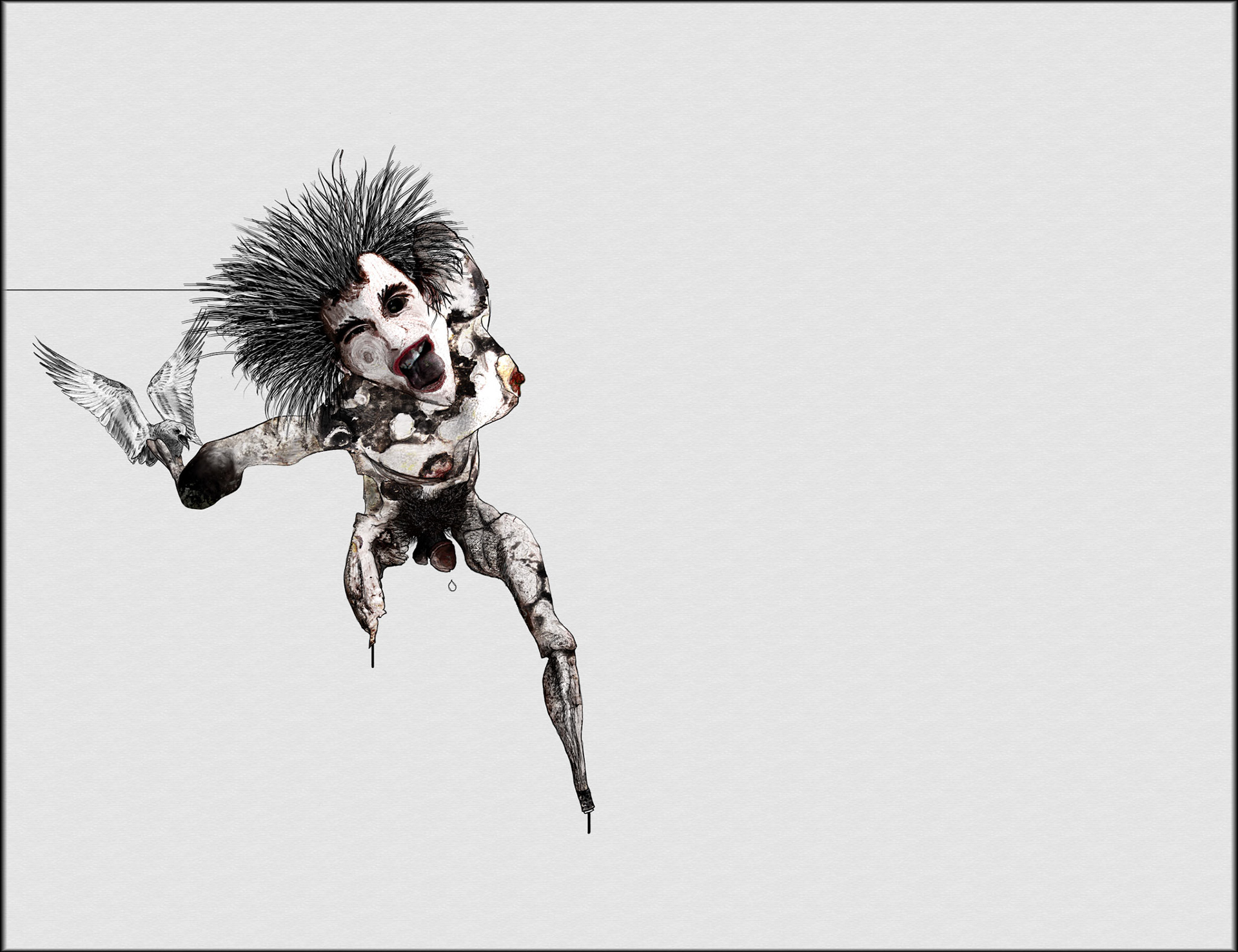 l'homme à la mouette