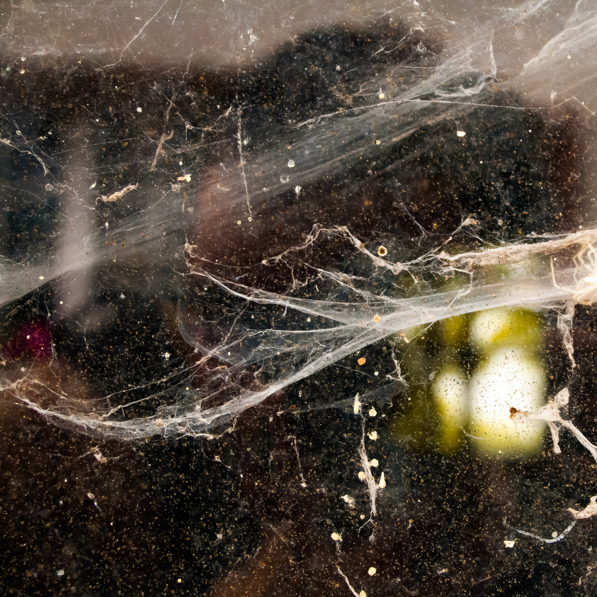 17 JUIN 2010 À 12h56 - BENNEY - RUE DE LA FORGE