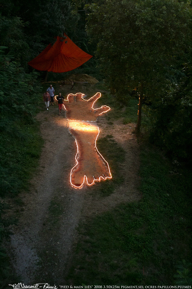 "pied &amp; main liés" 2008 3.50x25m pigment,sel ocres papillons,plumes