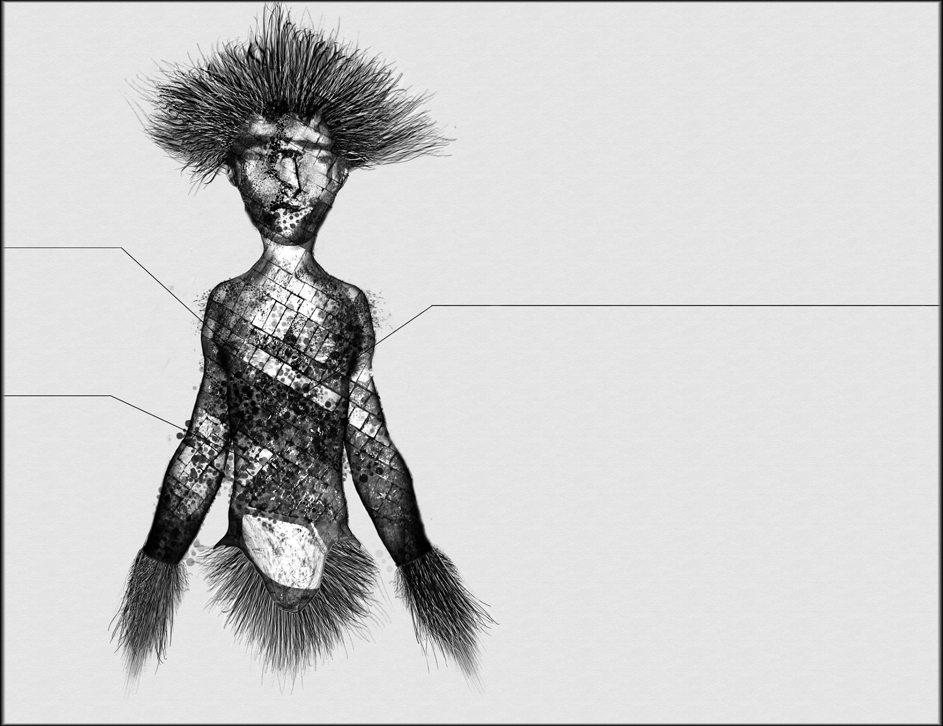 cours en anatomie sidérale