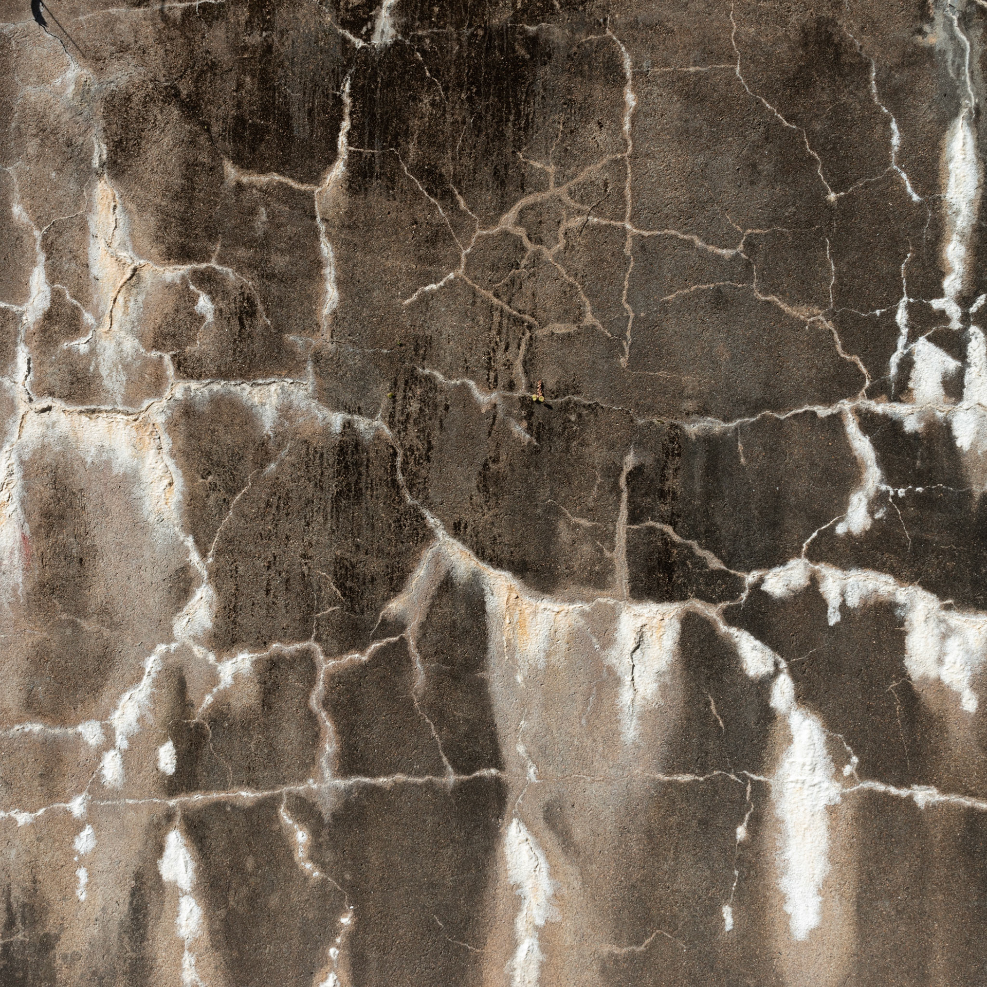 07avril2015-17H09-LaRochelle- ruebonpland-titivisconti