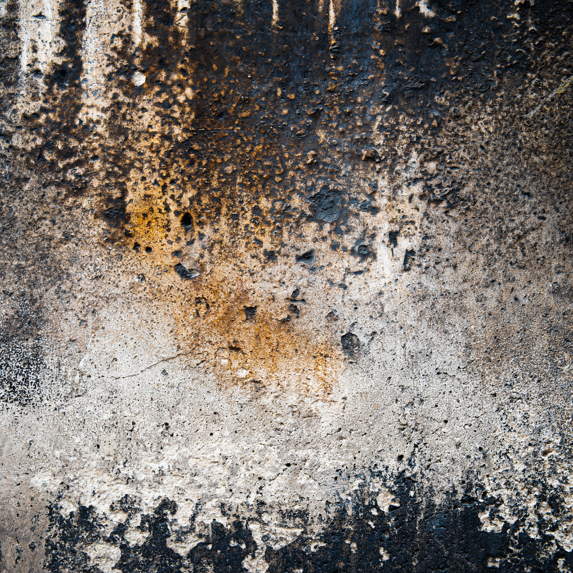 01avril2014-12H30-paris-notredamedelorette-titivisconti