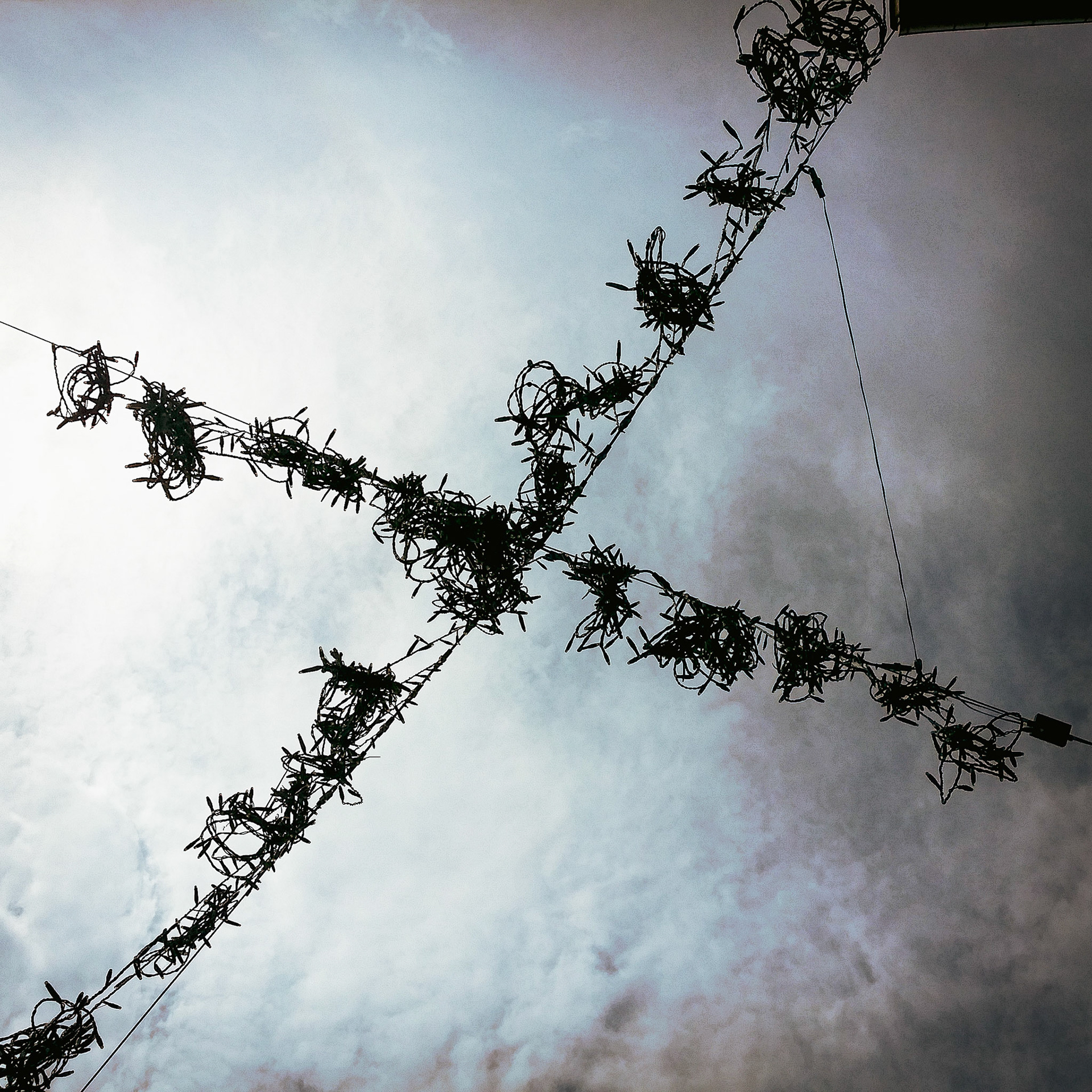 Saint-Ambroix le 25 avril 2014  à 13H02