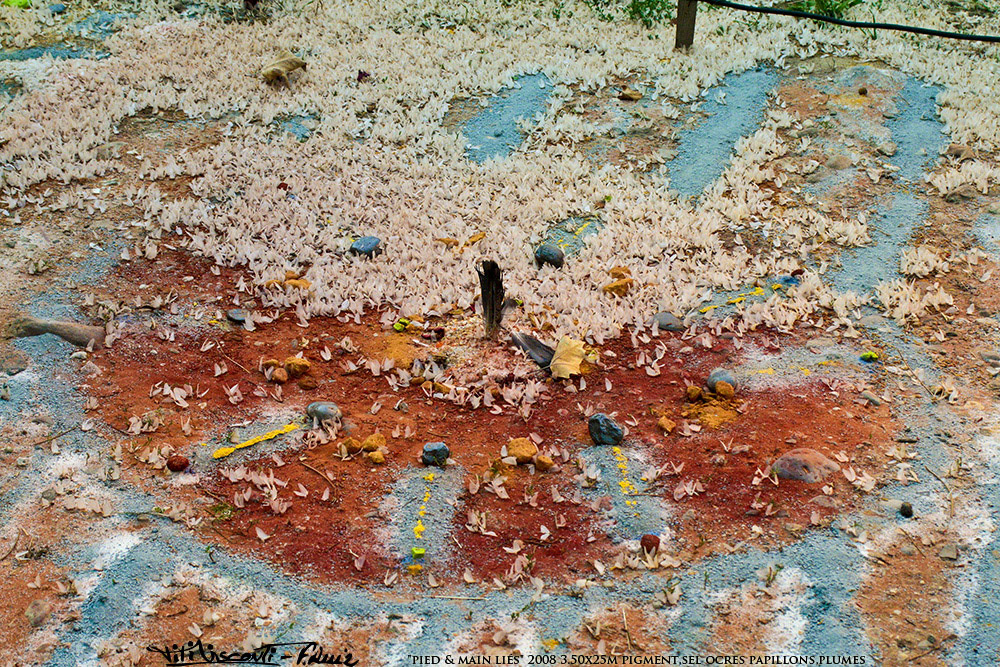 "pied &amp; main liés" 2008 3.50x25m pigment,sel ocres papillons,plumes