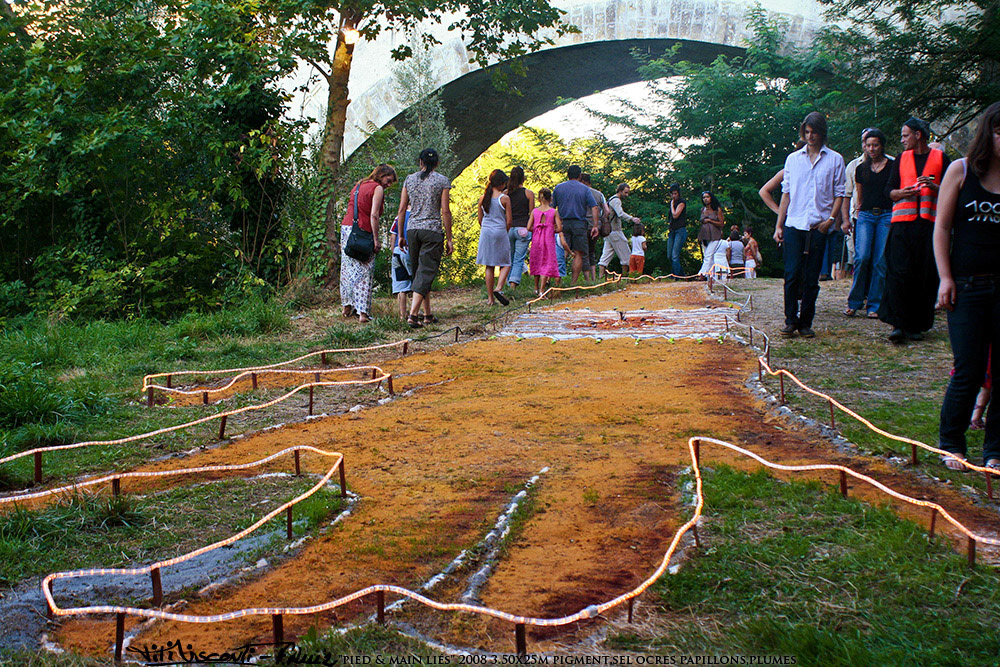 "pied &main liés" 2008 3.50 x2 5 METRES pigment,sel ocres papillons,plumes