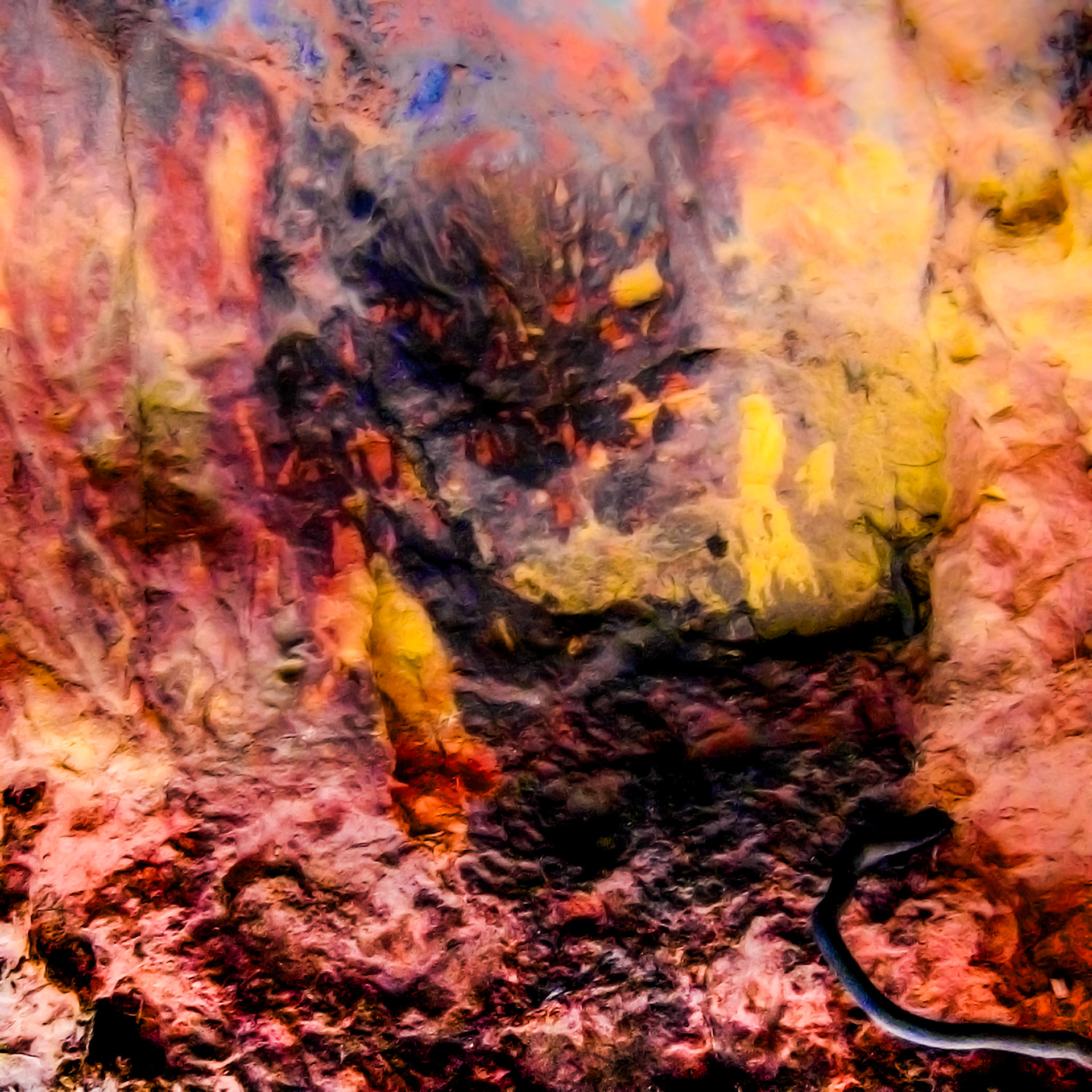 8 AVRIL 2007 À15H54 - CARRIÈRE DU ROUSSILLON