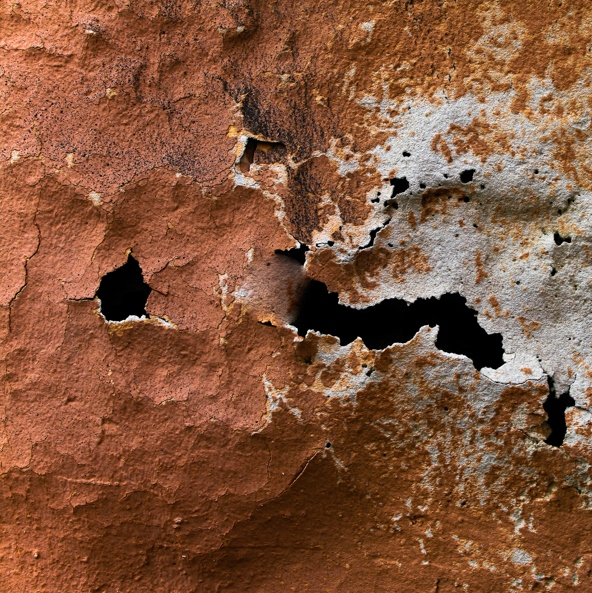 22 MAI 2009 À15H57 - TOULOUSE -ARÈNES