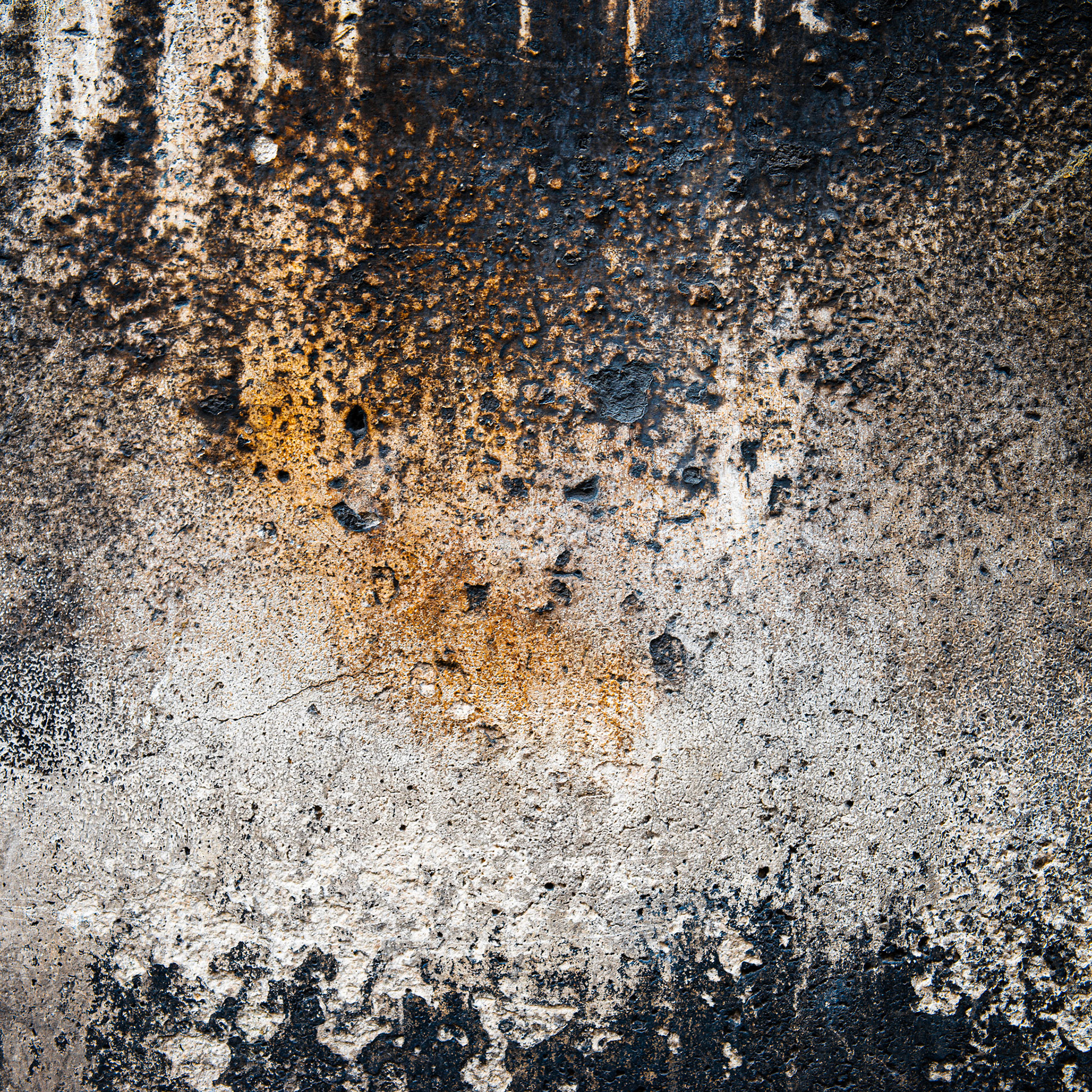 1 AVRIL 2014 À 12H30 -PARIS-  RUE NÔTRE DAME DE LORETTE