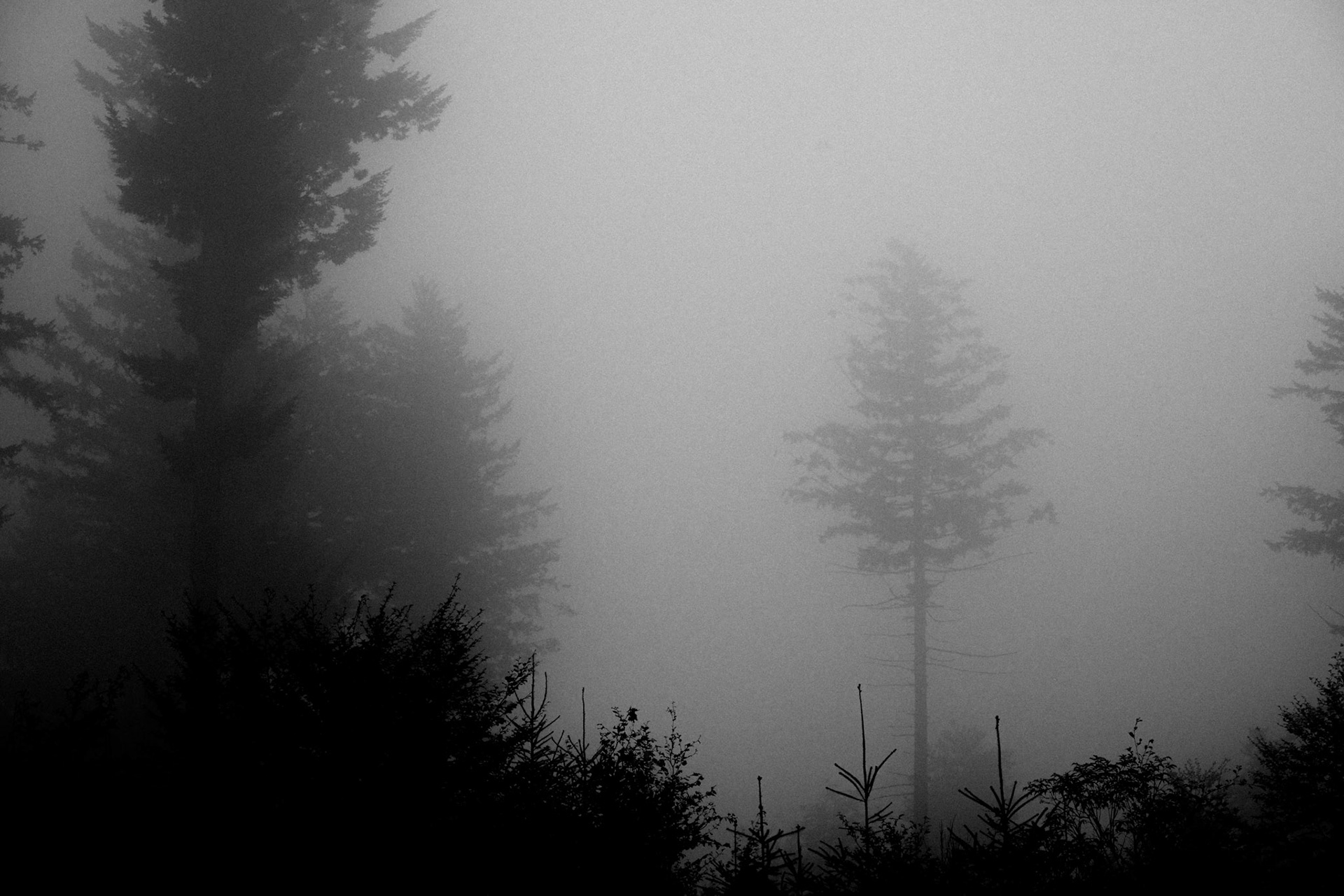 brume vosgienne le 31 aout 2013 à 19H16