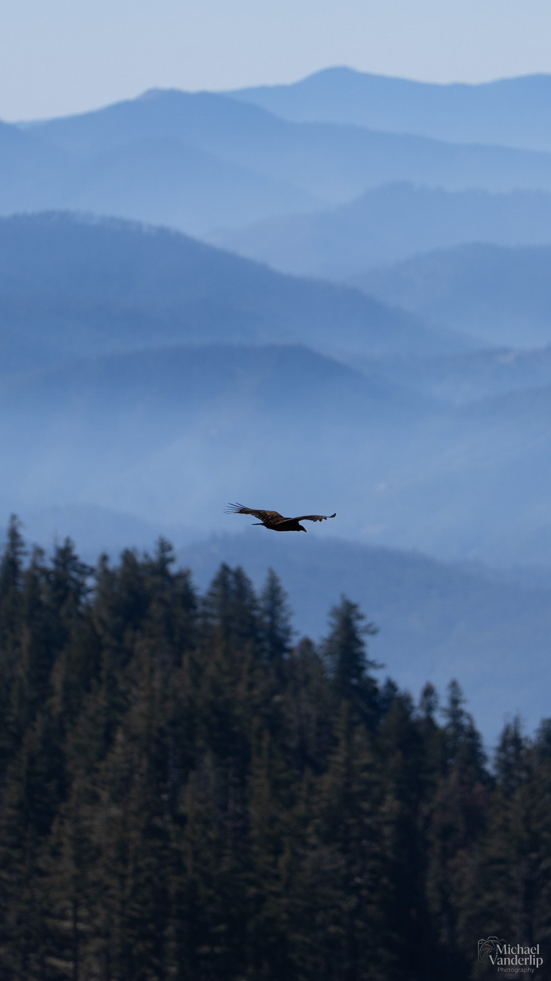 Mountain View from Grizzly Peak, Ashland, Oregon.
