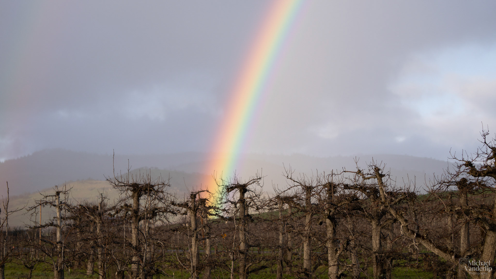Rainbow Orchard near Talent, Oregon.