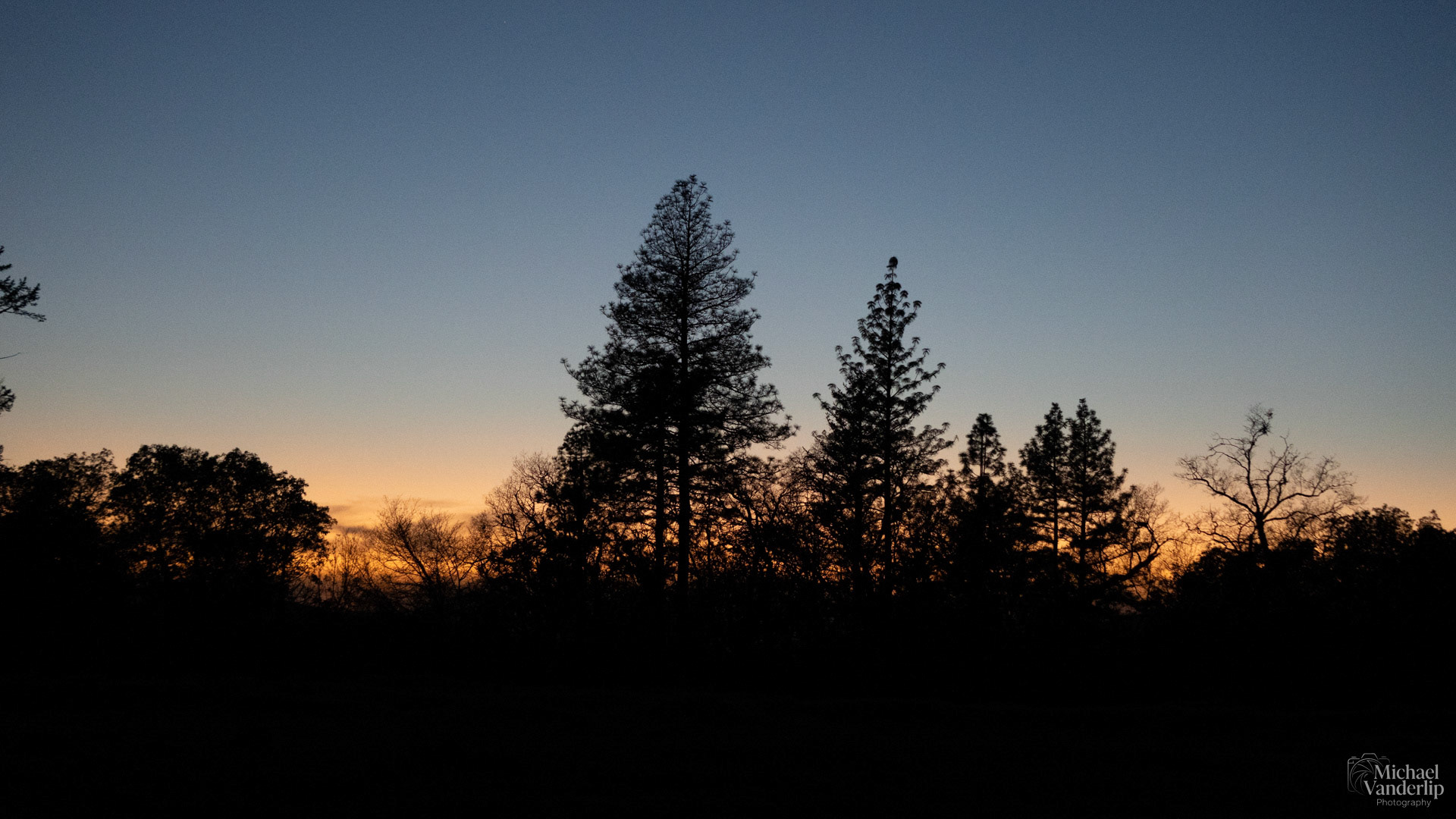 Sunset Trees on Lower Table Rock, Central Point, Oregon.