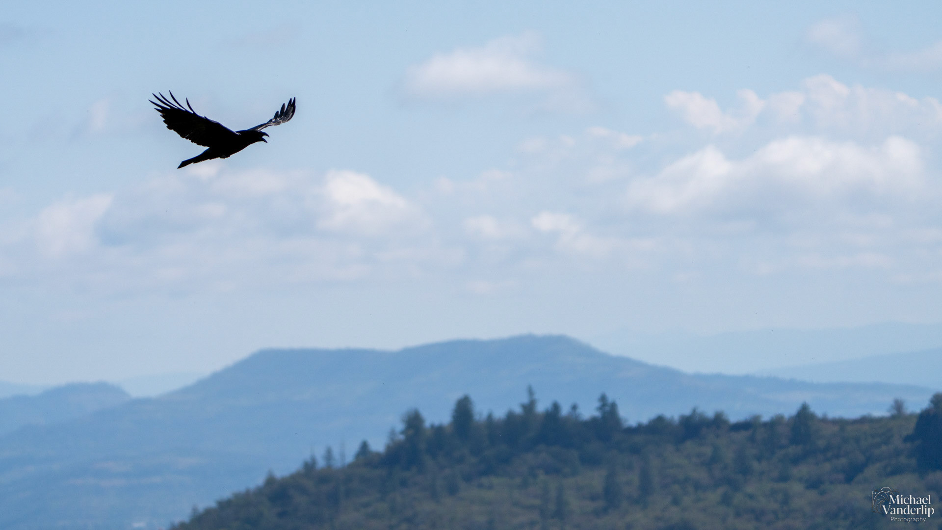 Raven on Lower Table Rock, Central Point, Oregon.