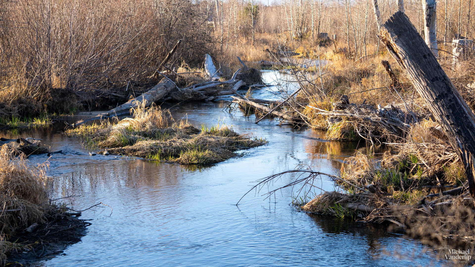 Bear Creek near Talent, Oregon.