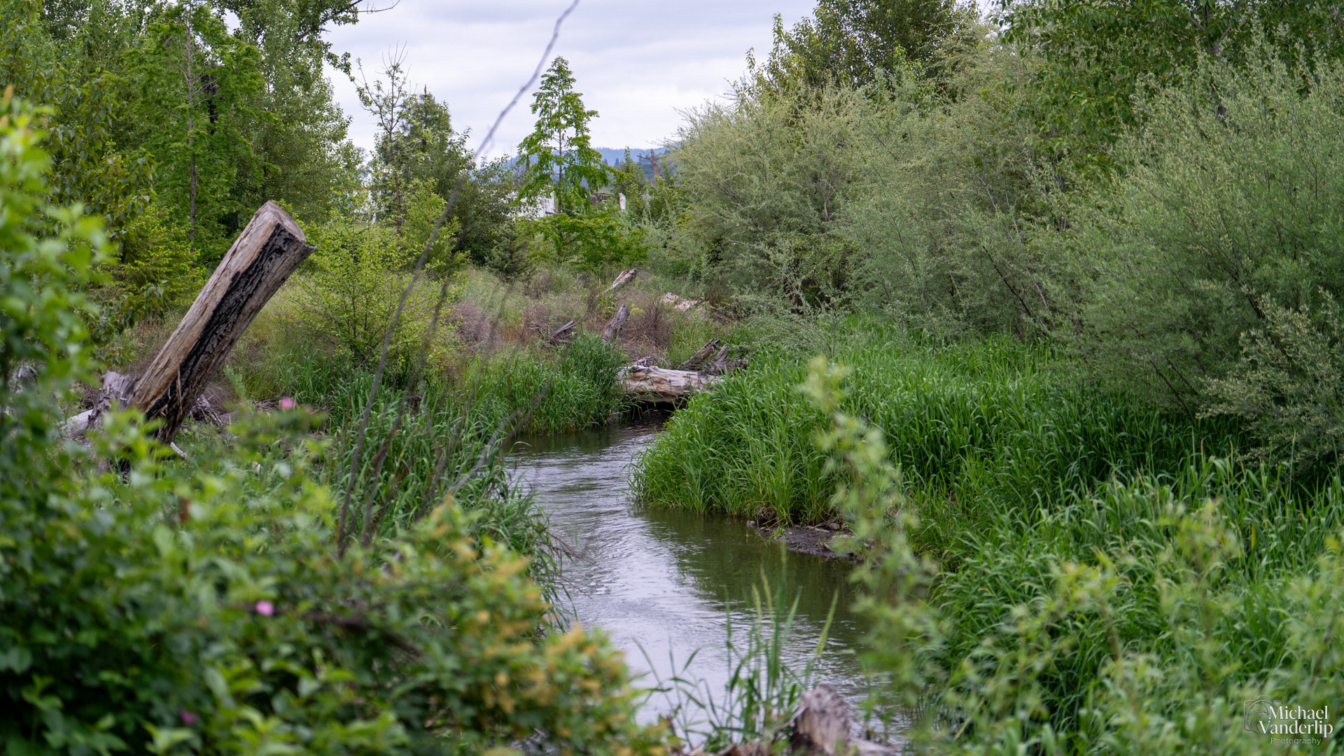 Bear Creek near Talent, Oregon.