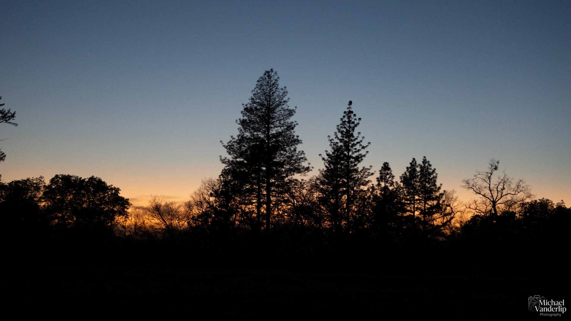 Sunset Trees on Lower Table Rock, Central Point, Oregon.