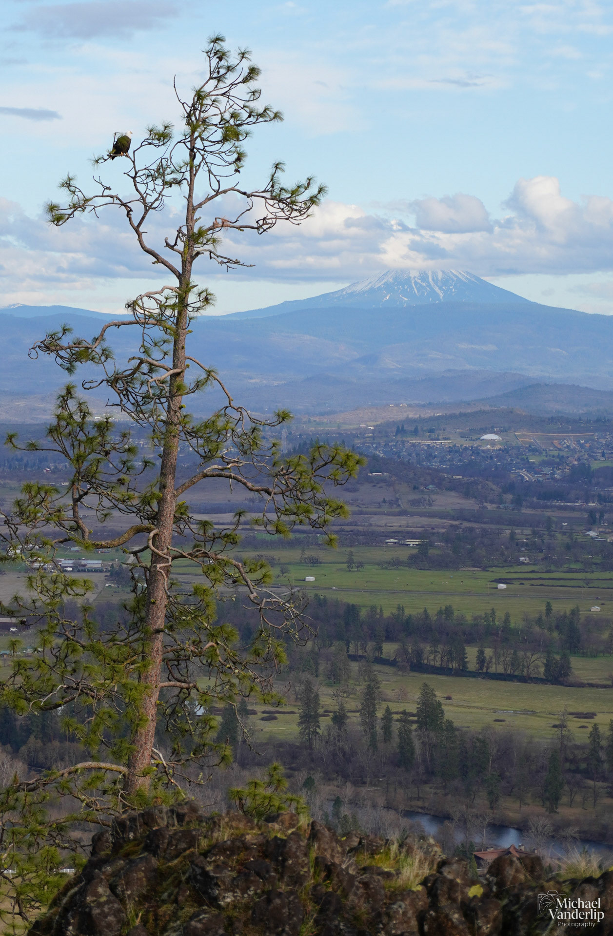 Bald Eagle on Upper Table Rock, Central Point, Oregon.