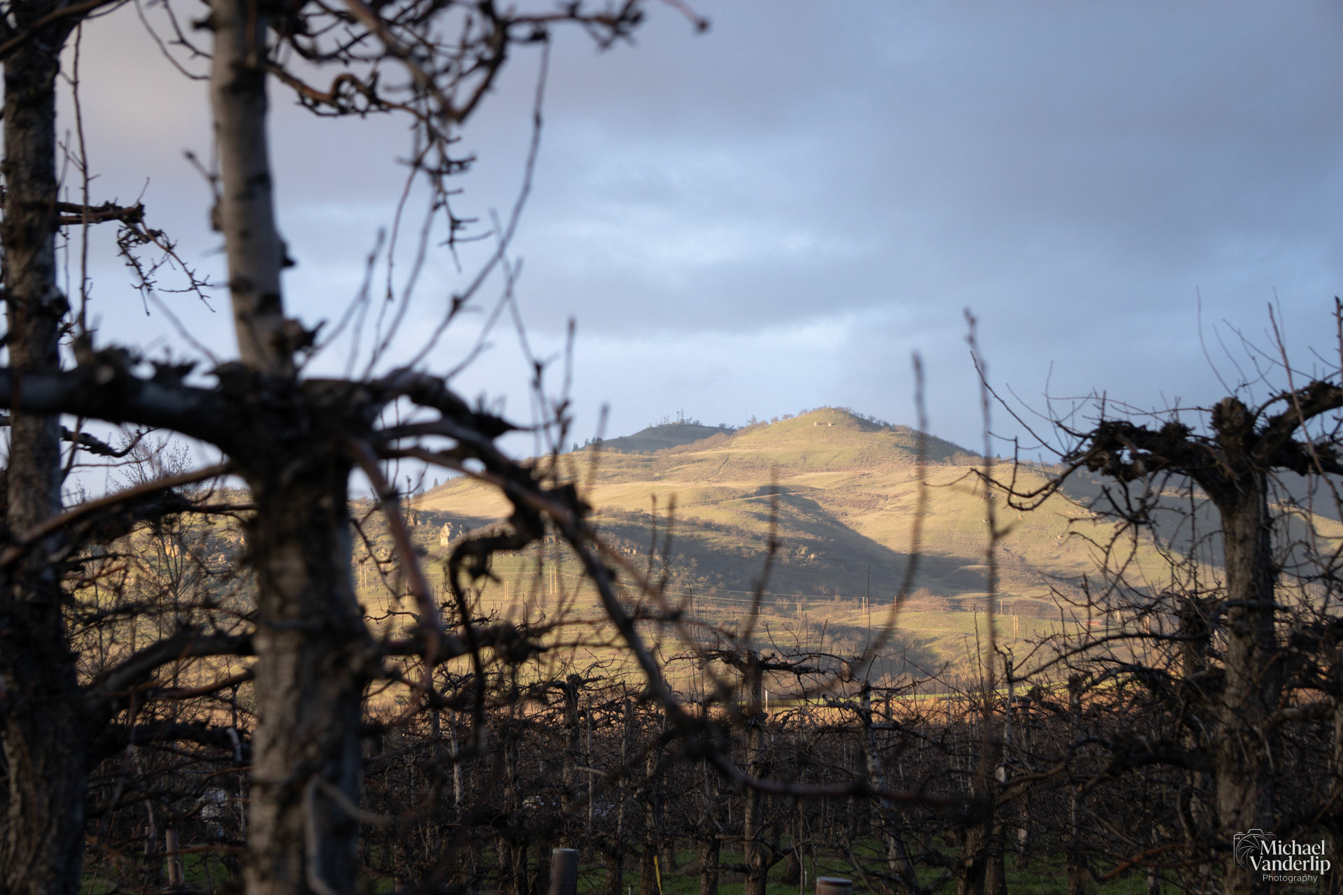 Hillside view from the Bear Creek Greenway near Talent, Oregon.