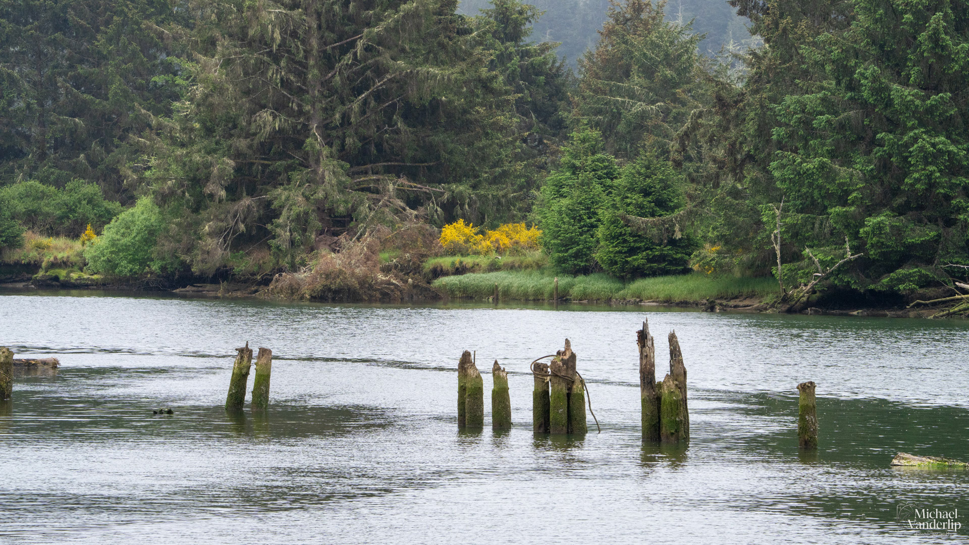 Siletz River near Cutler City, Oregon.