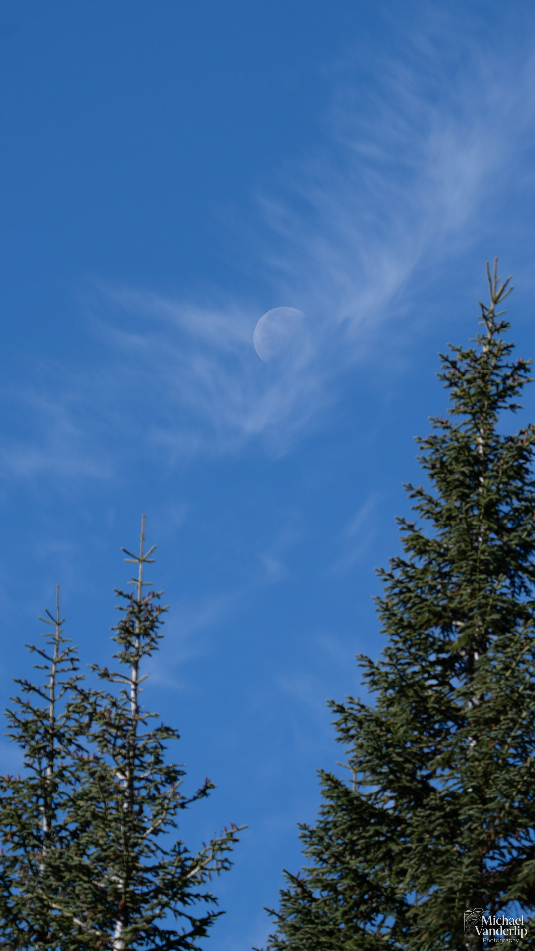 The Moon viewed from the Pacific Crest Trail near Mt. Ashland, Oregon.