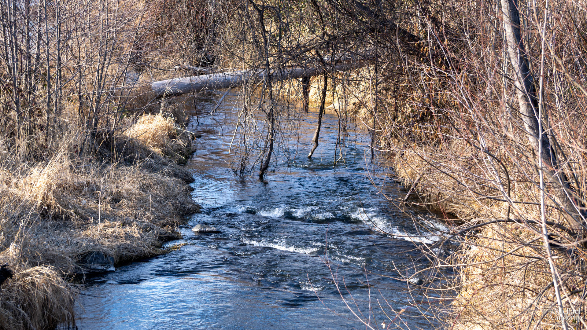 Bear Creek near Talent, Oregon.