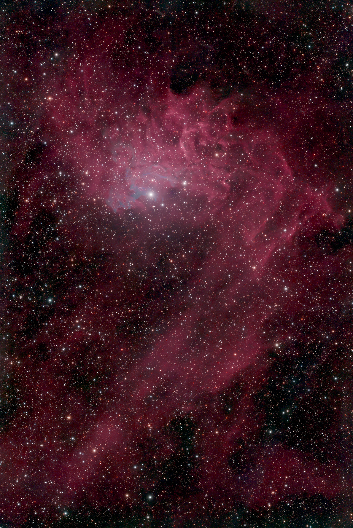 Flaming Star Nebula