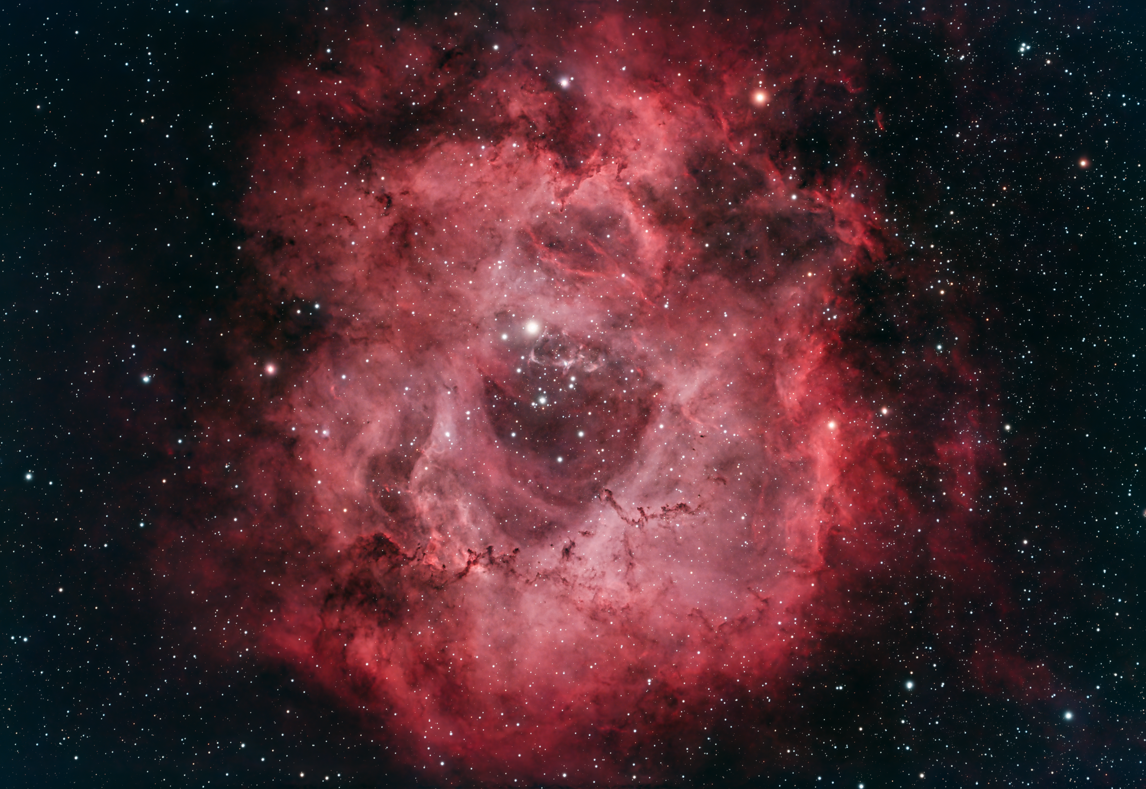 Rosette - 183MC - V