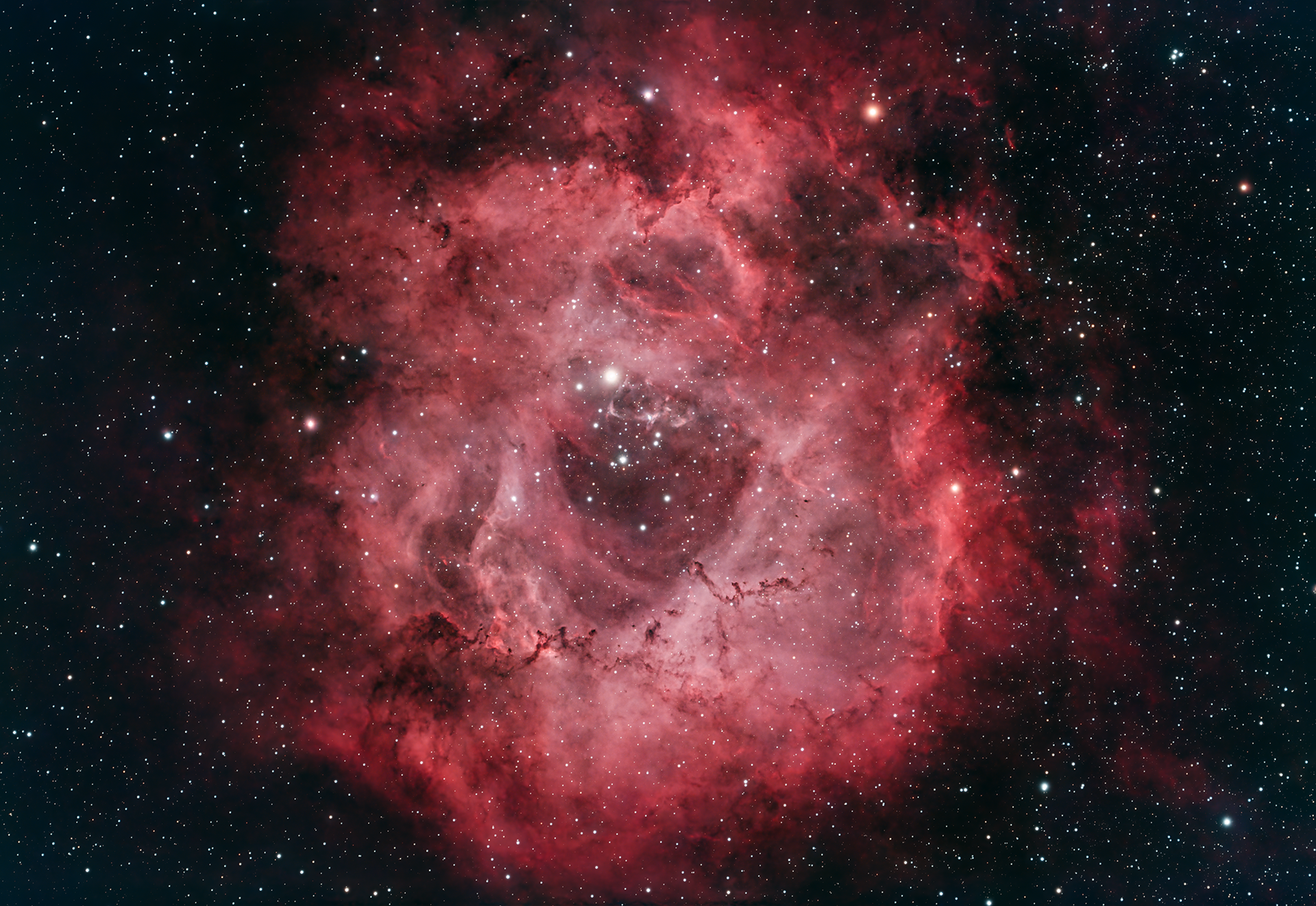 Rosette Nebula