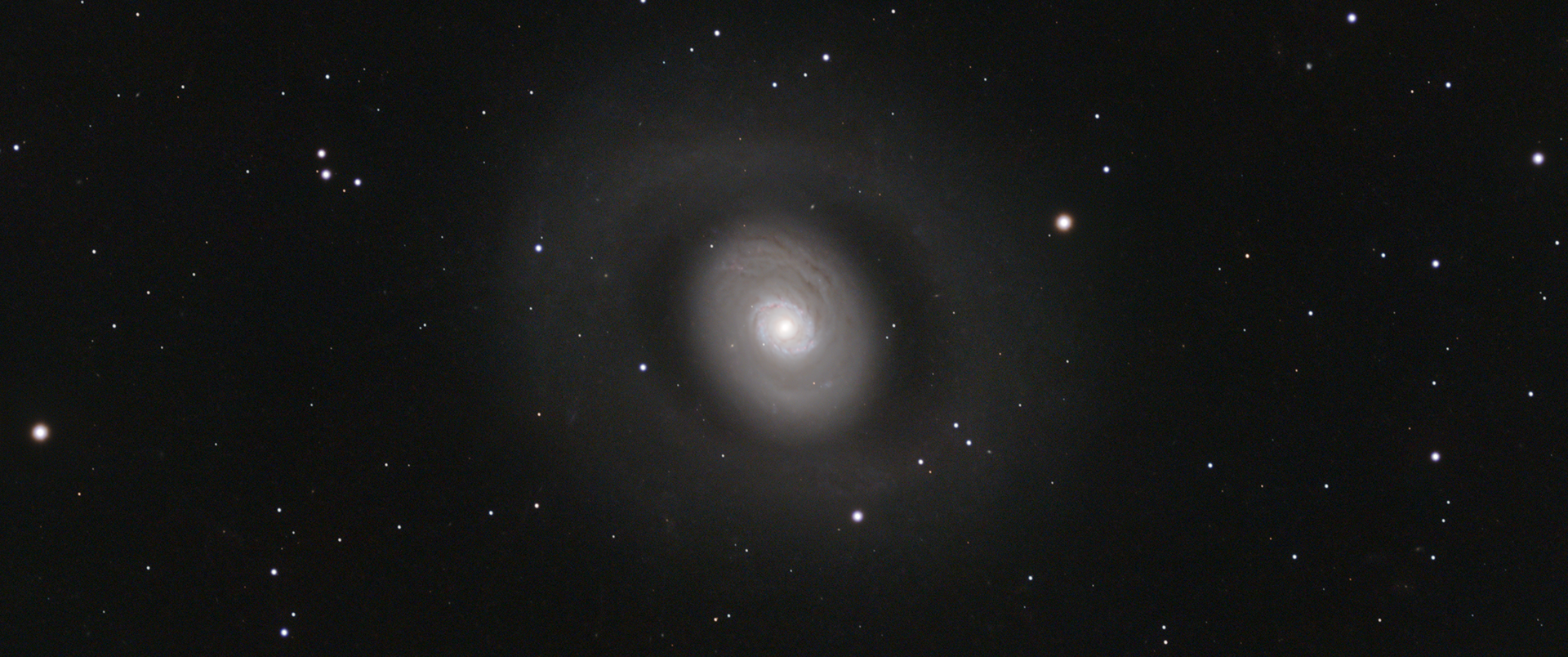 Croc's Eye - 183MM - 103APO