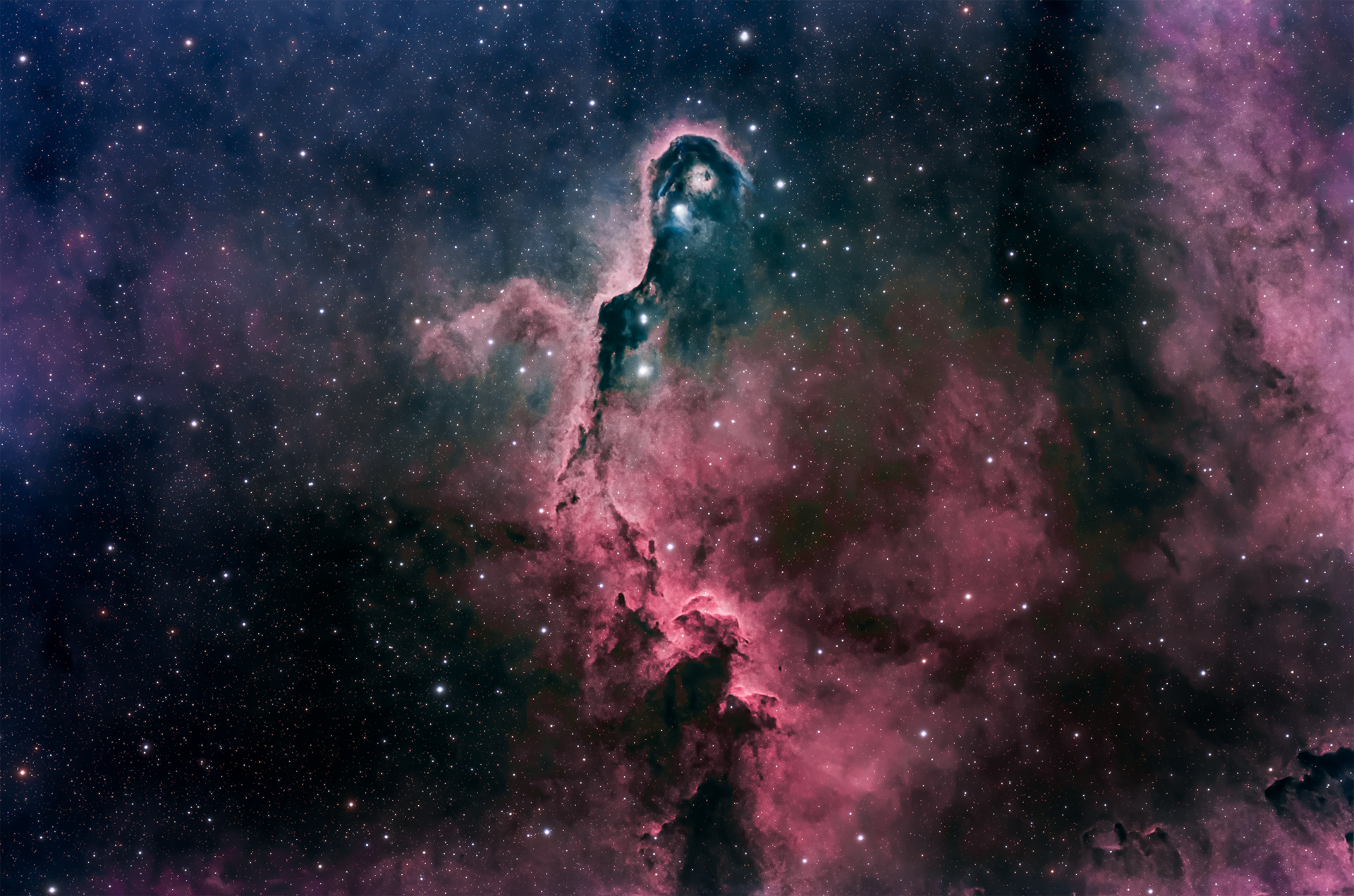 Elephant Trunk Nebula