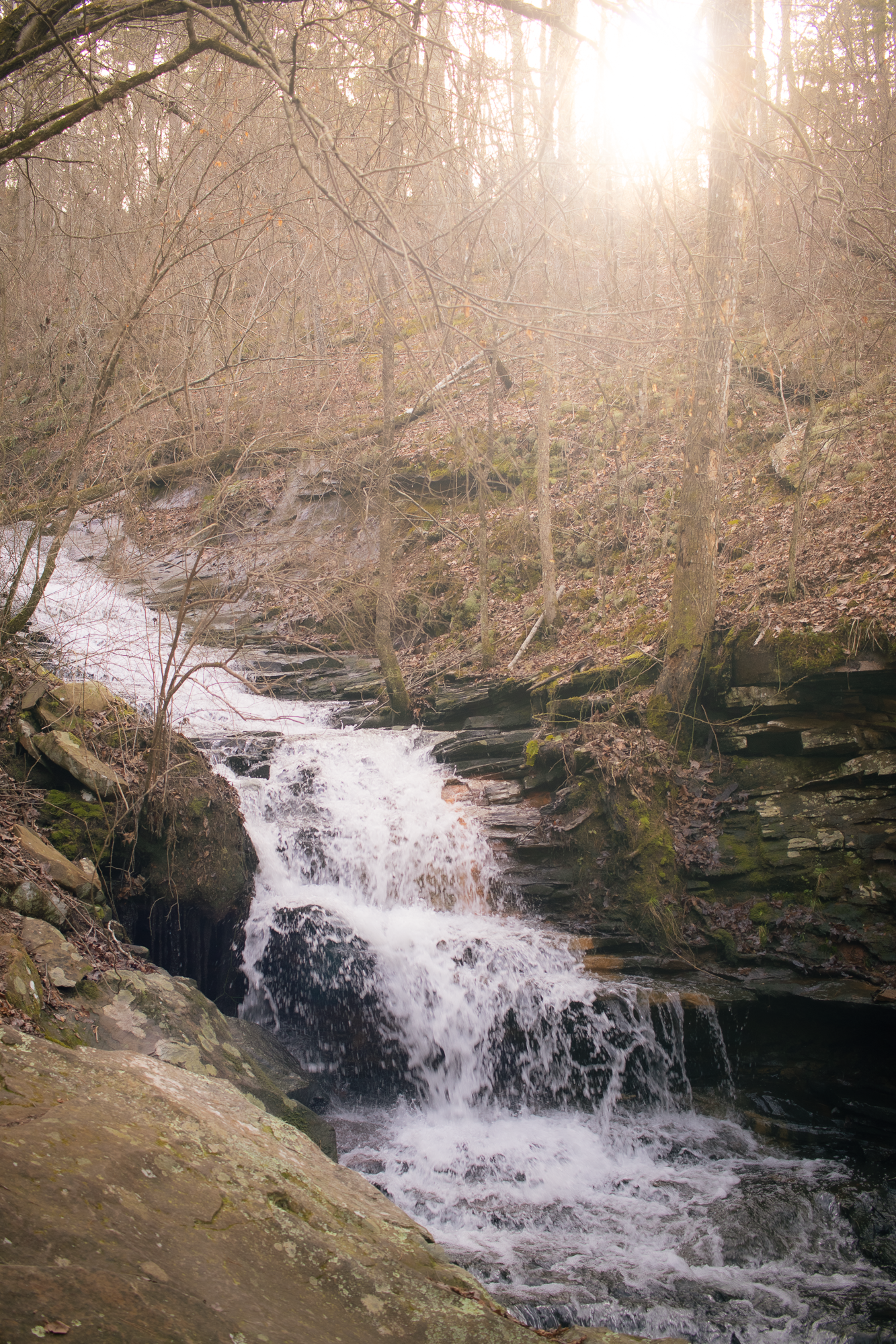 Petite Jean State Park