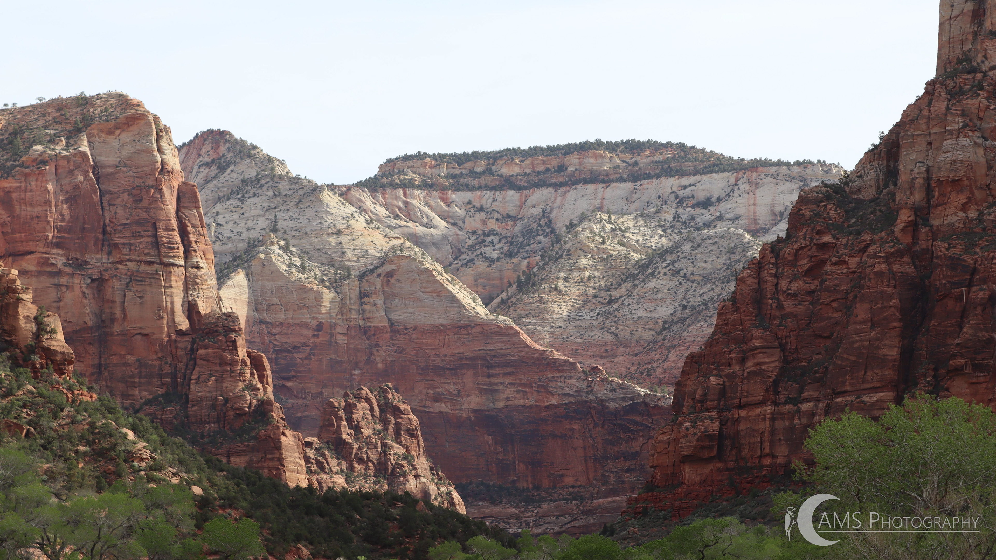 Zion National Park