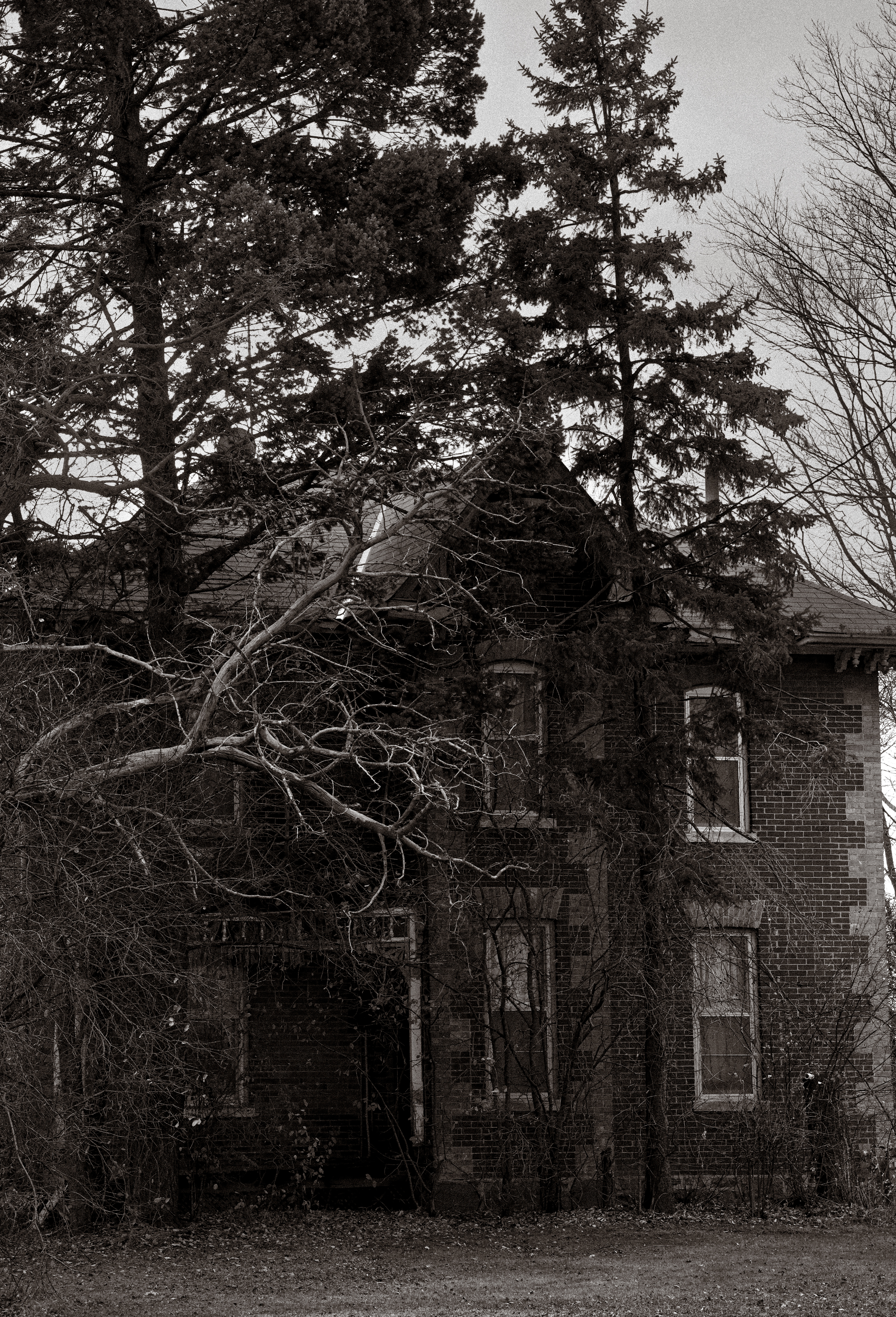 "House on the Highway"