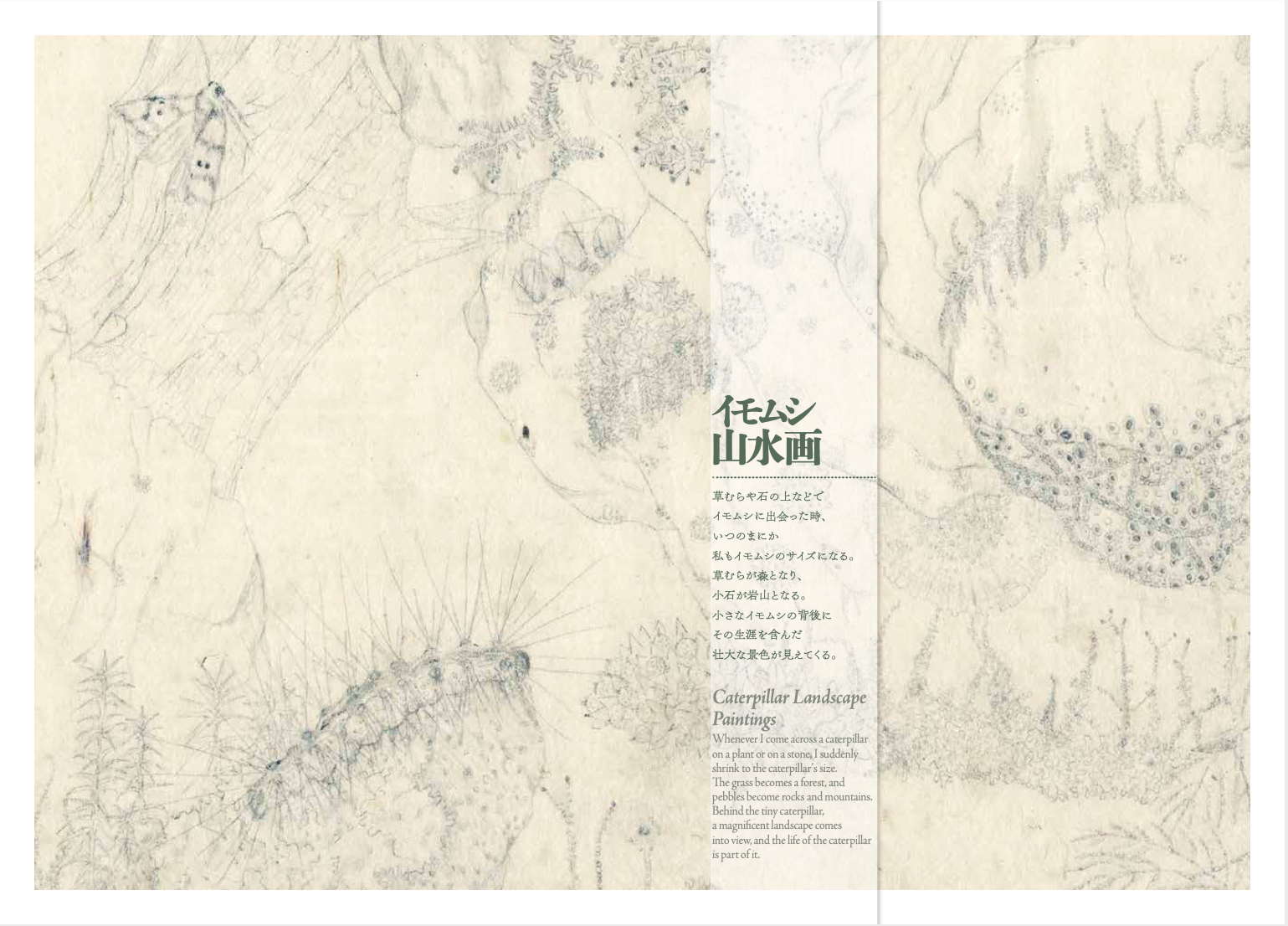 Suzuko Momoyama Insects - イモムシ画家 - 桃山鈴子 - The art book