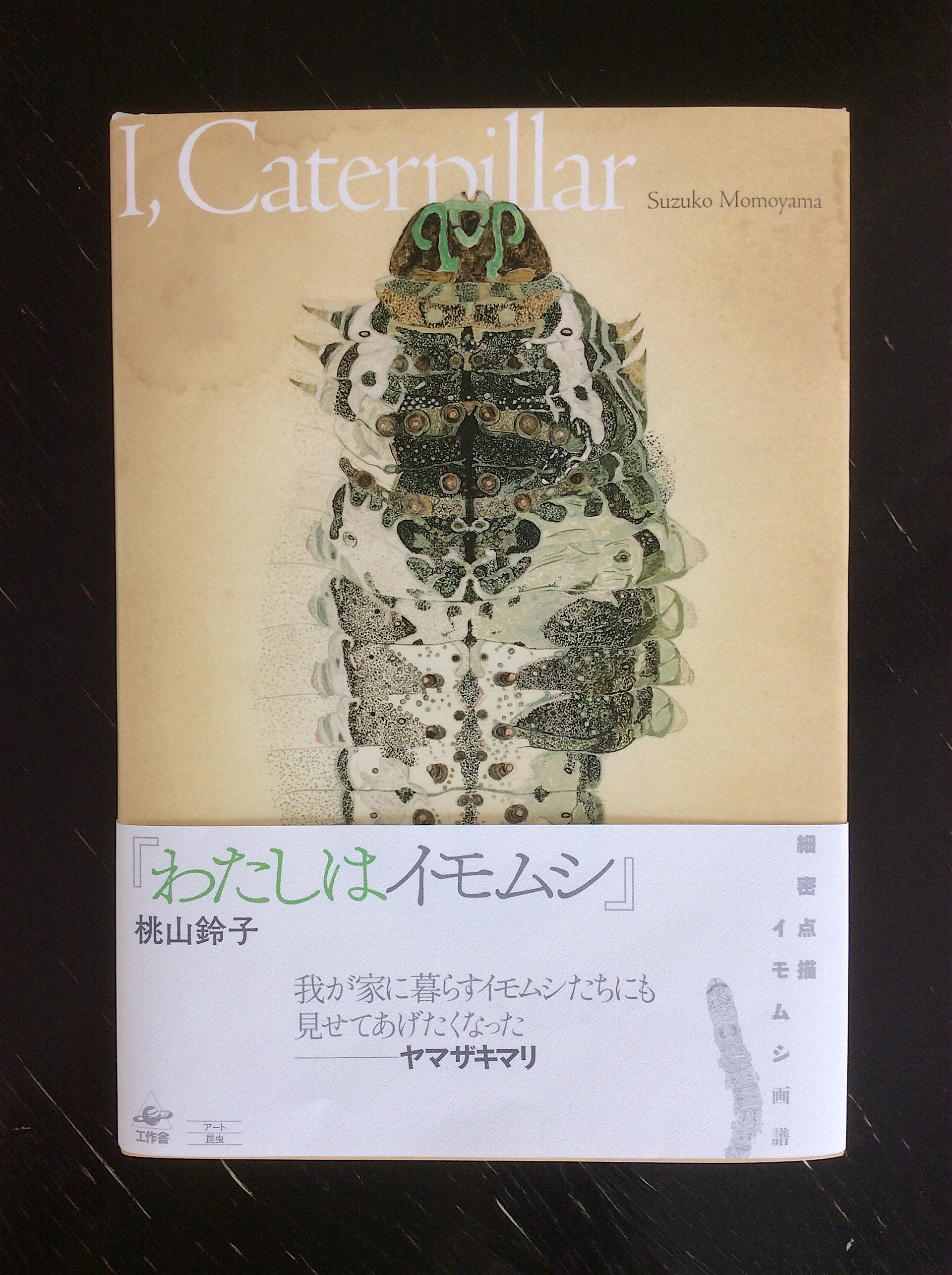 Suzuko Momoyama Insects - イモムシ画家 - 桃山鈴子 - The art book