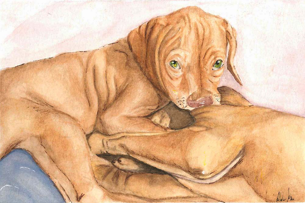 Doggo, 2020, watercolor
