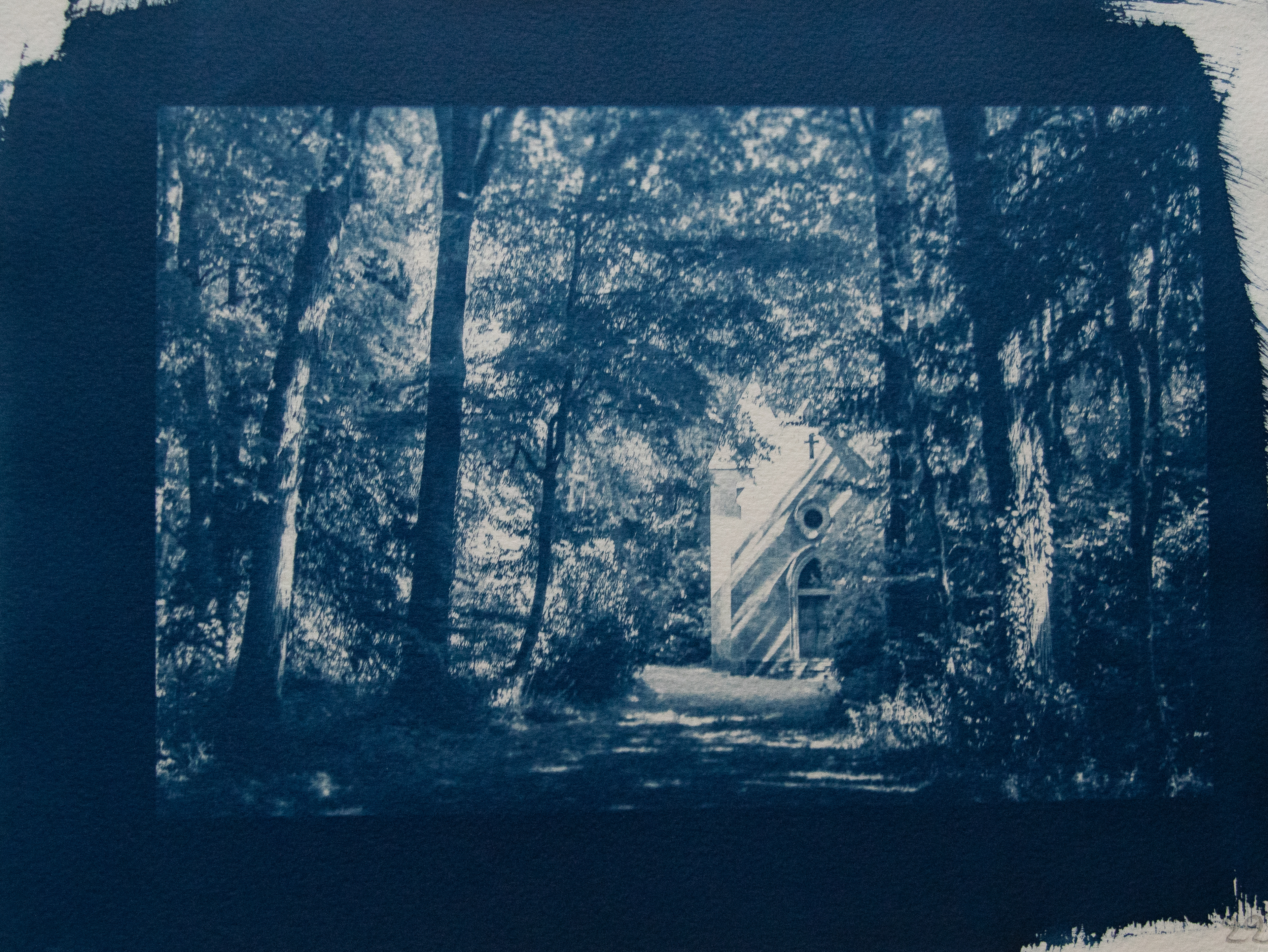 cyanotype