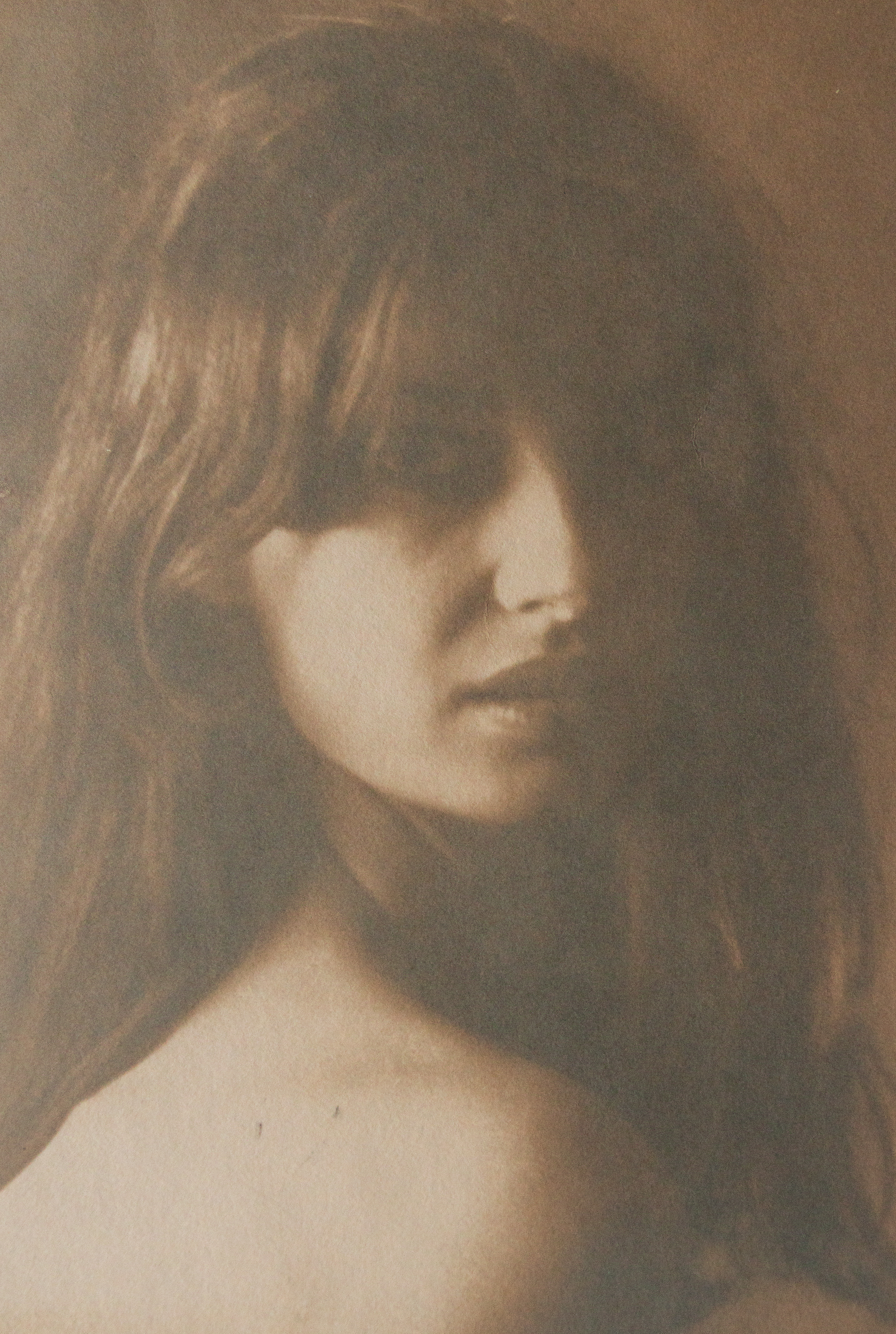 cyanotype viré