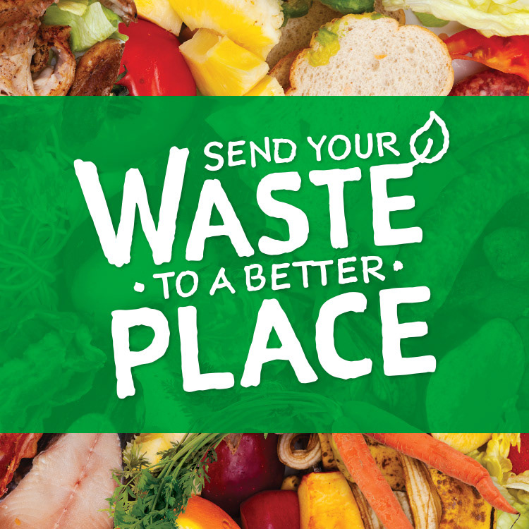 Identity with elements