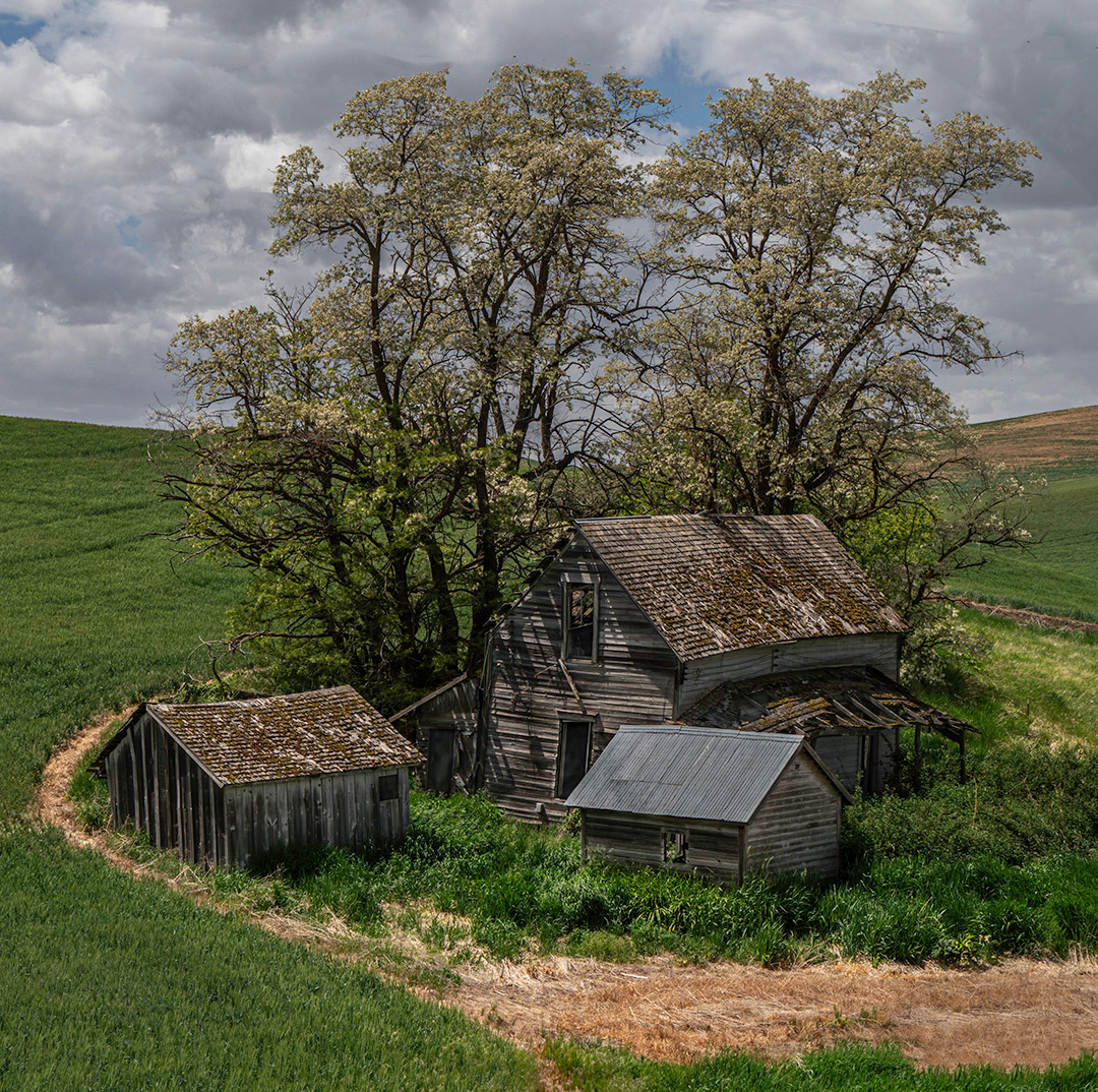 Abandoned Farm House