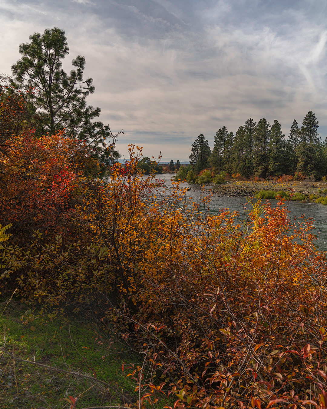 Spokane River Autumn