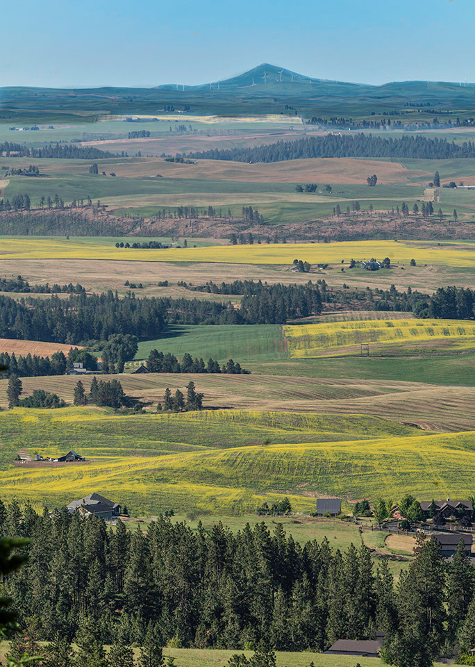 Steptoe Butte