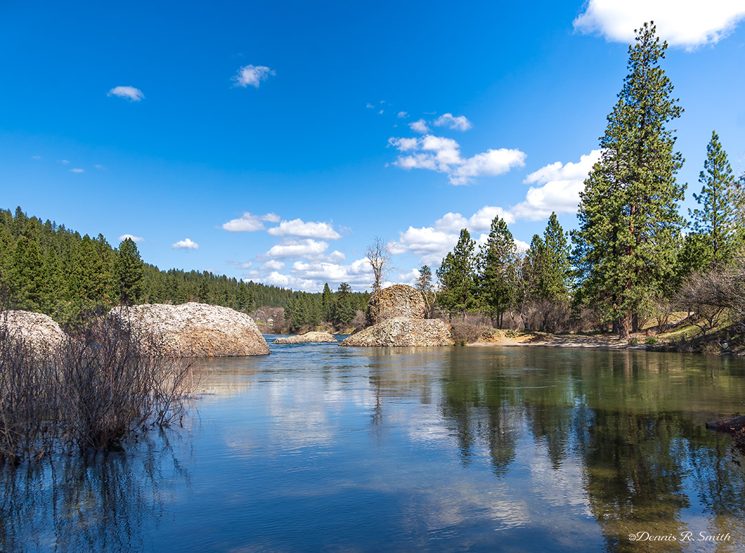 Donkey Island Swimming Hole - Spring