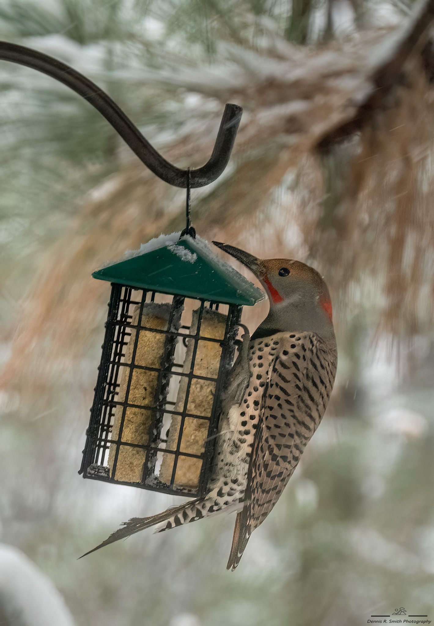 Flicker