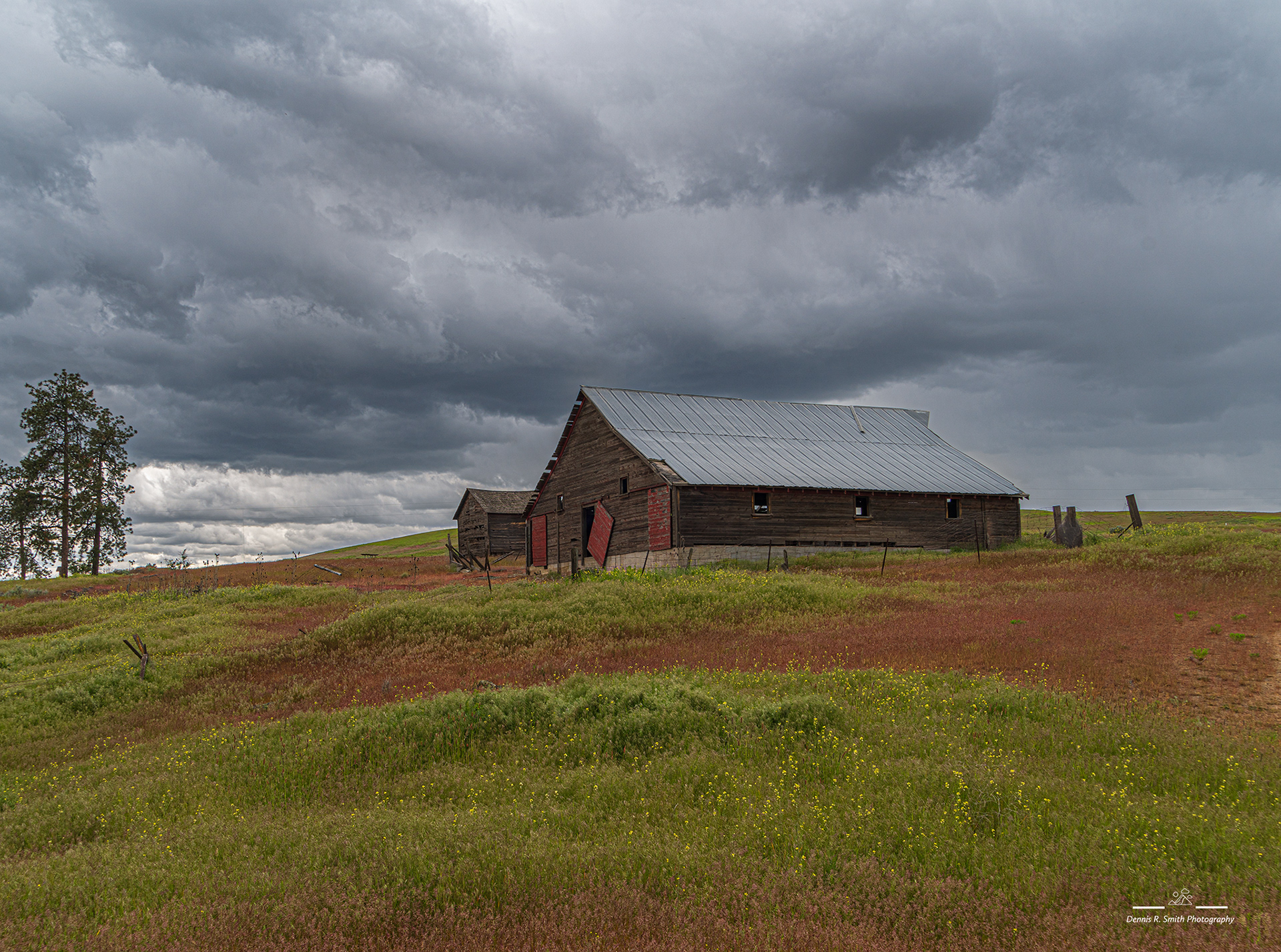 Folsom Farms